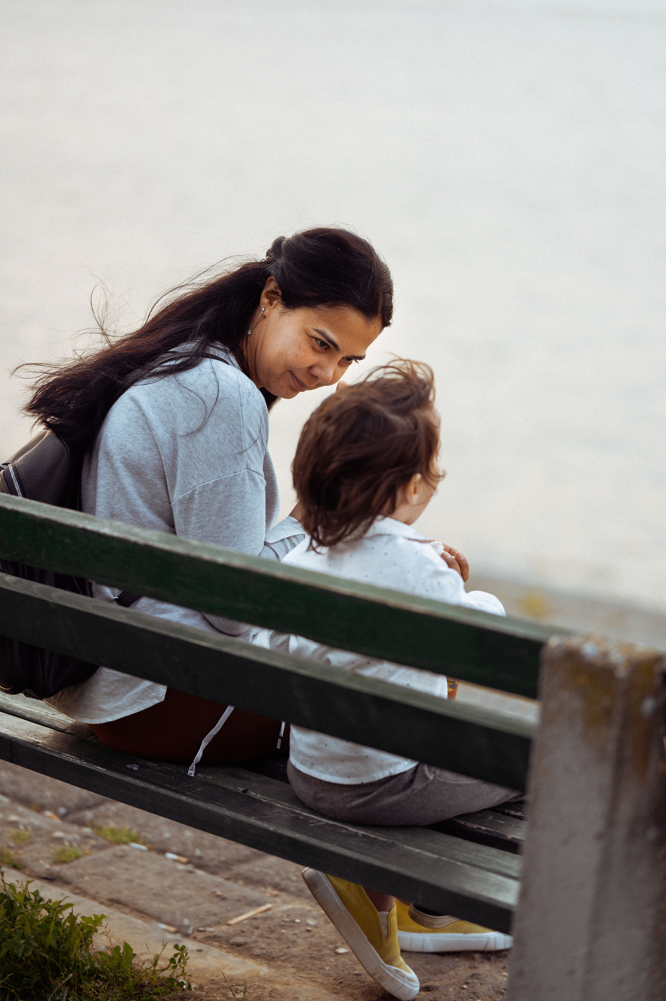 ЛЕБЕДИ НА ДУНАЕ. Фотограф в Белграде Чугреева Елена