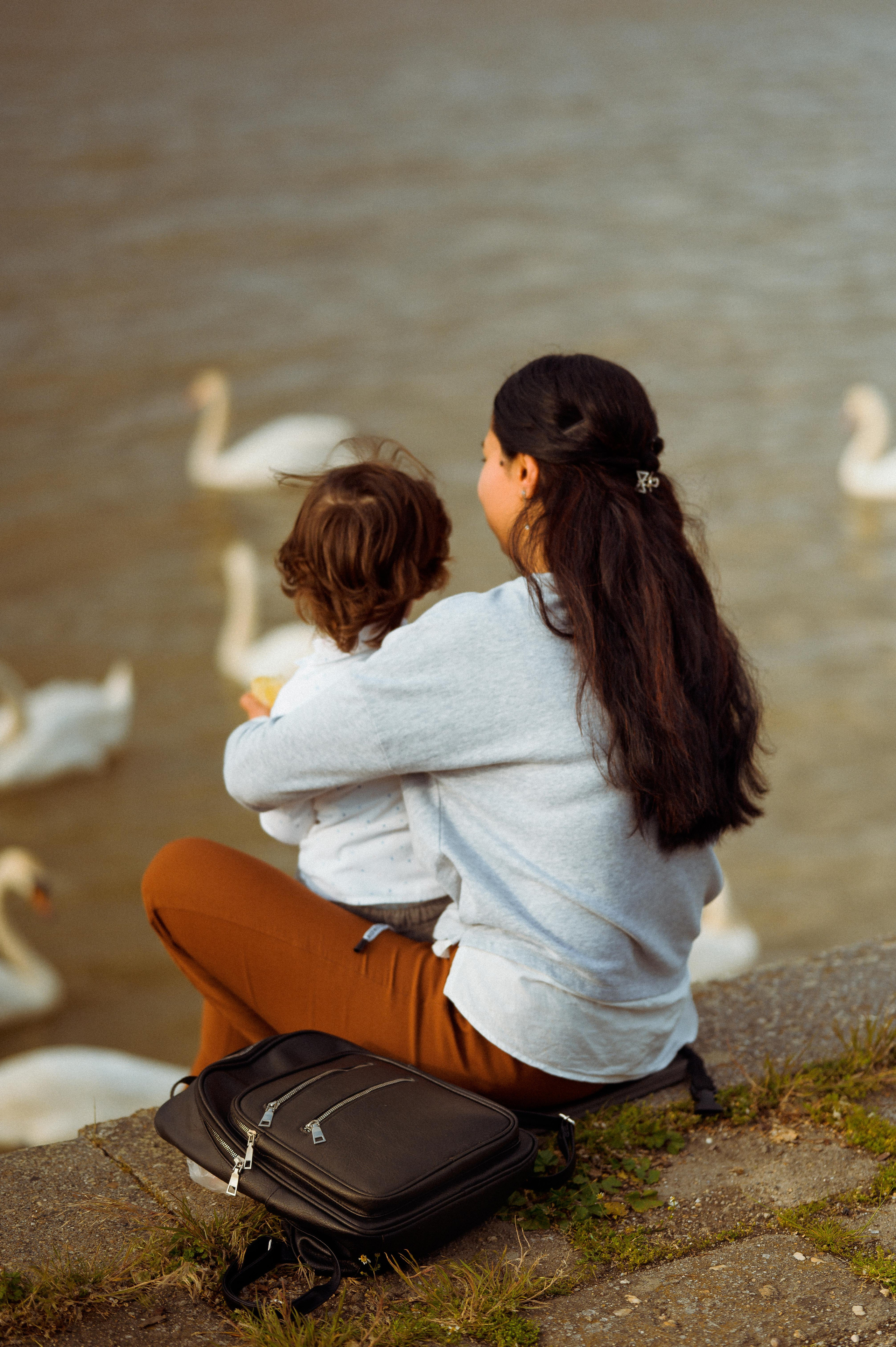 ЛЕБЕДИ НА ДУНАЕ. Фотограф в Белграде Чугреева Елена