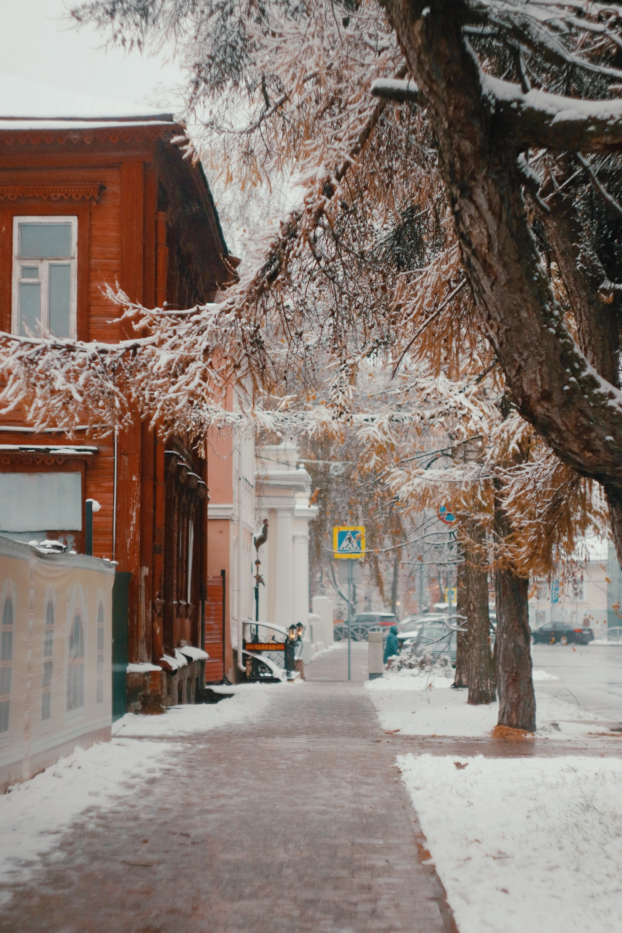 Ноябрьский снег. С любовью, фотохудожник