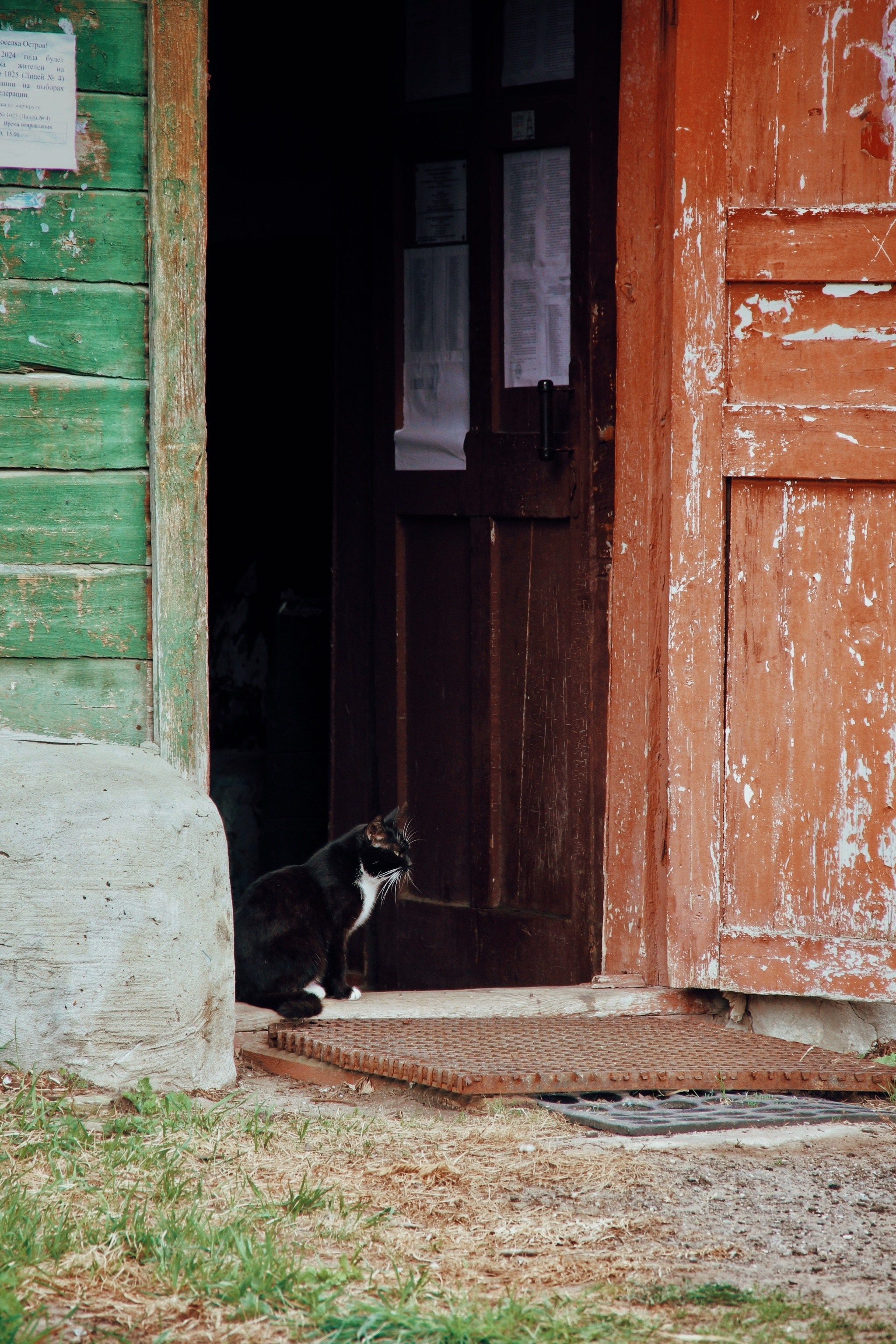 Уличные модели. С любовью, фотохудожник