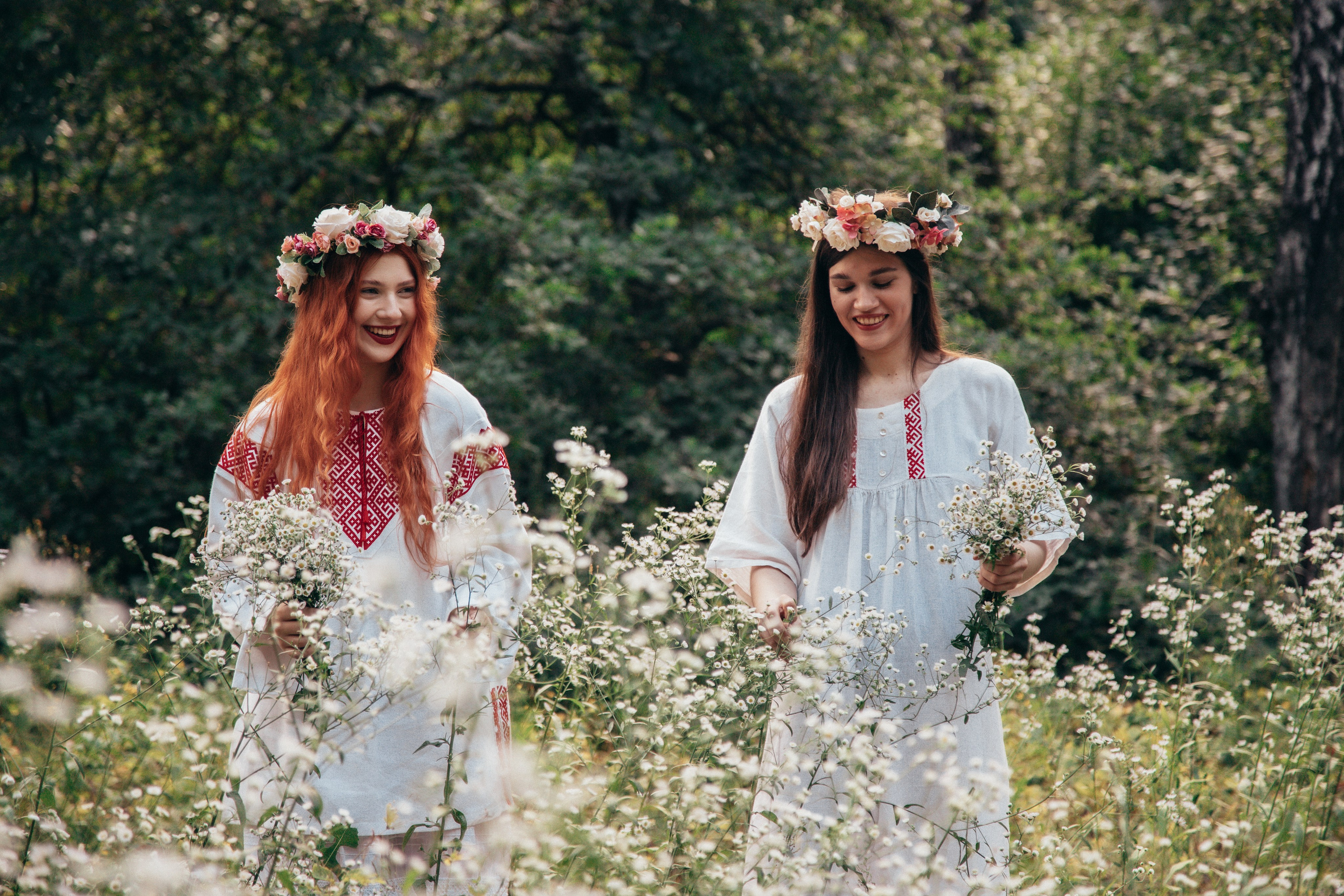 Волшебный лес. Фотограф Михайлова Анастасия | Белгород