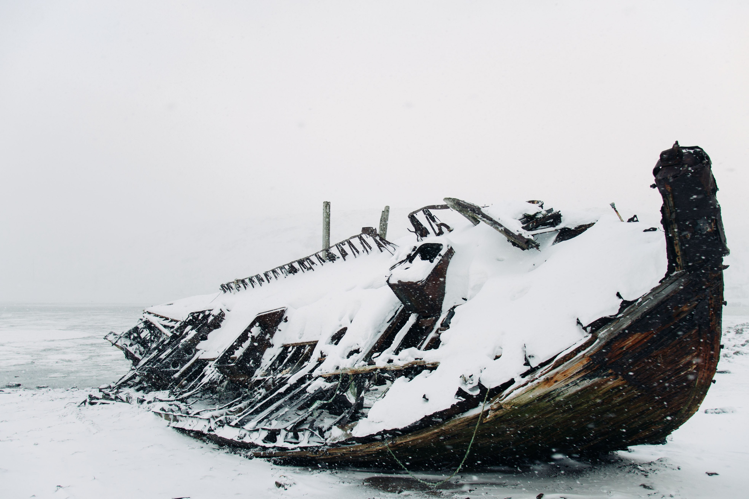 Мурманск, Териберка. Главная