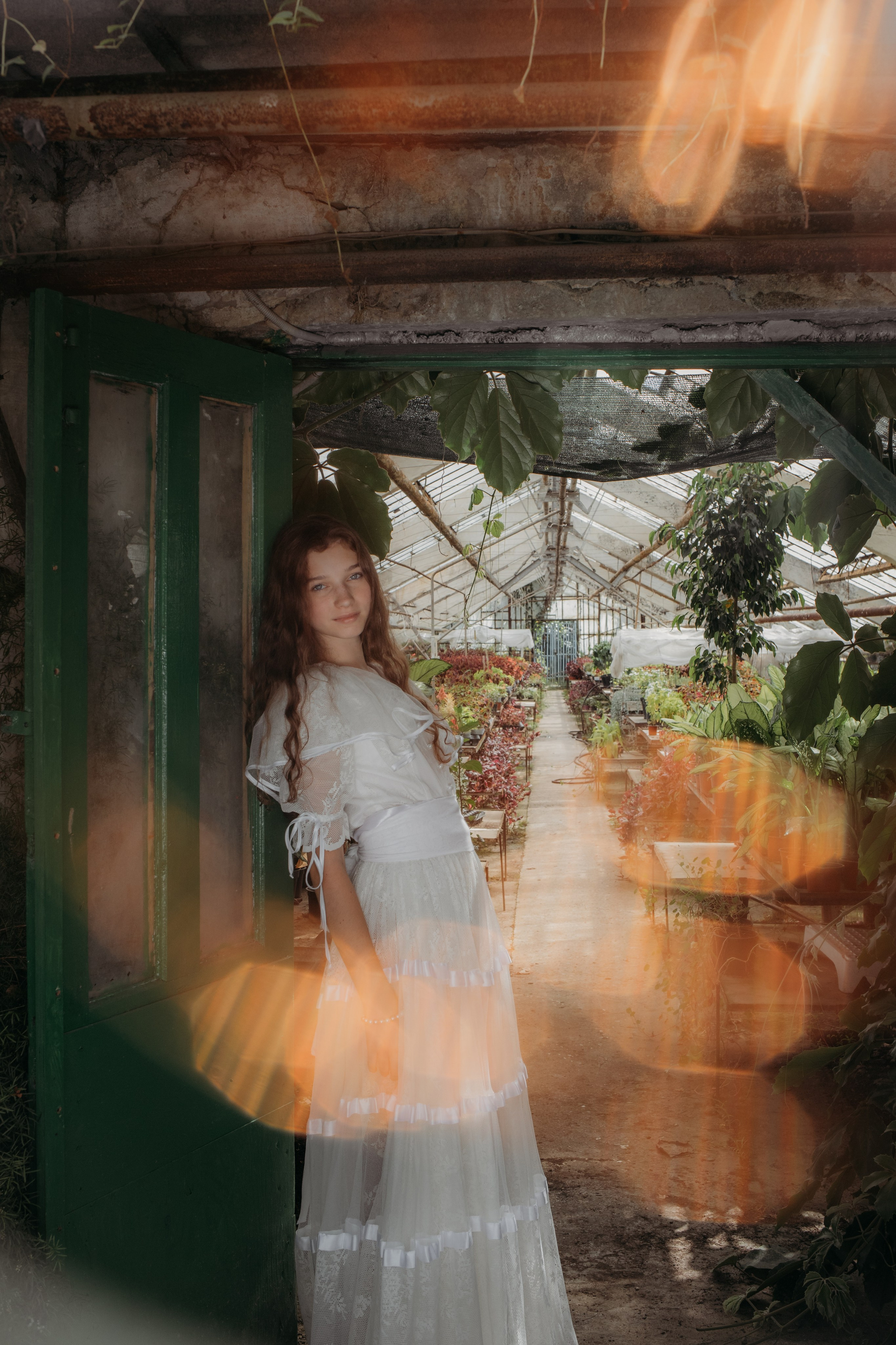 Оранжерея. Репортажный фотограф в Сочи Екатерина Вежливцева