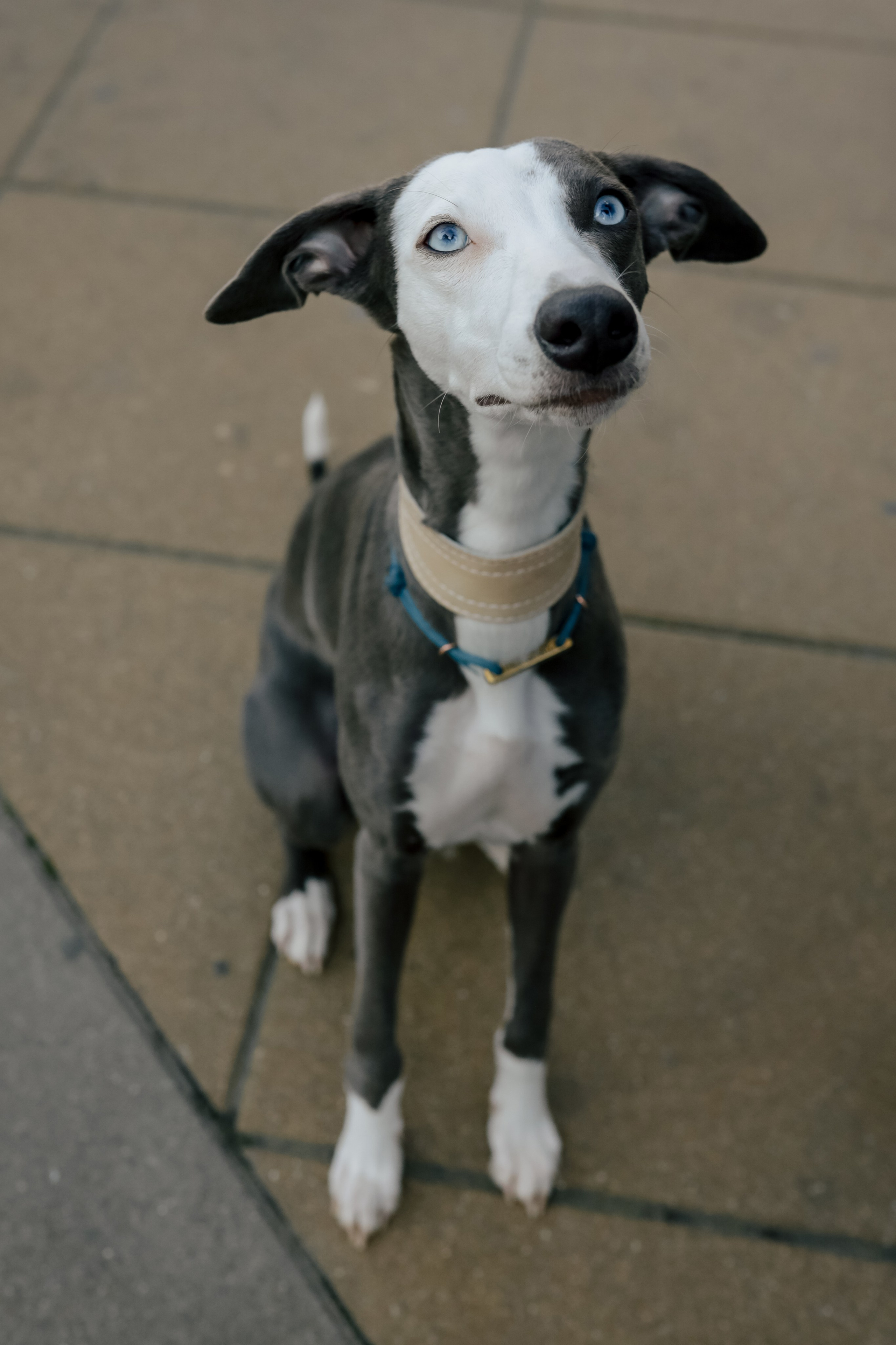 Первая осень Йотуна. Свадебный и семейный фотограф в Варшаве