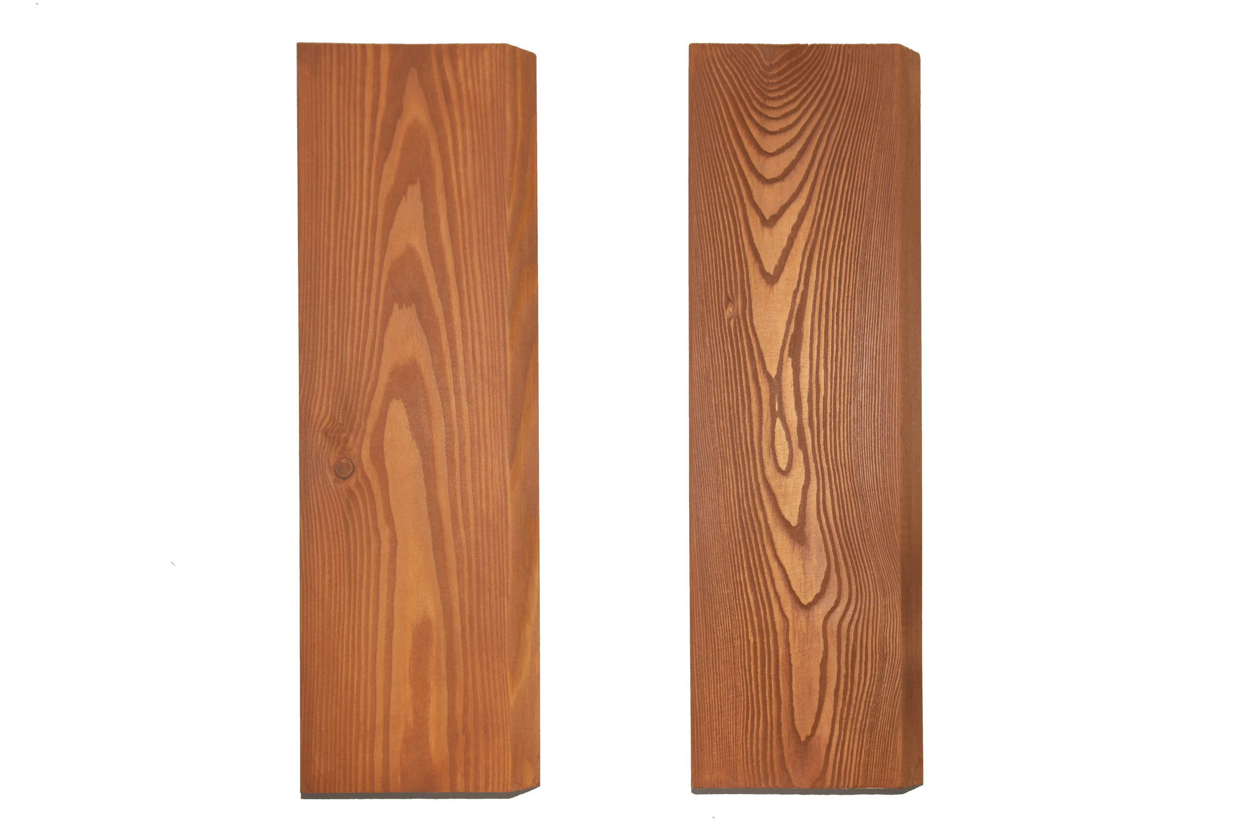 Дерево. Фотограф