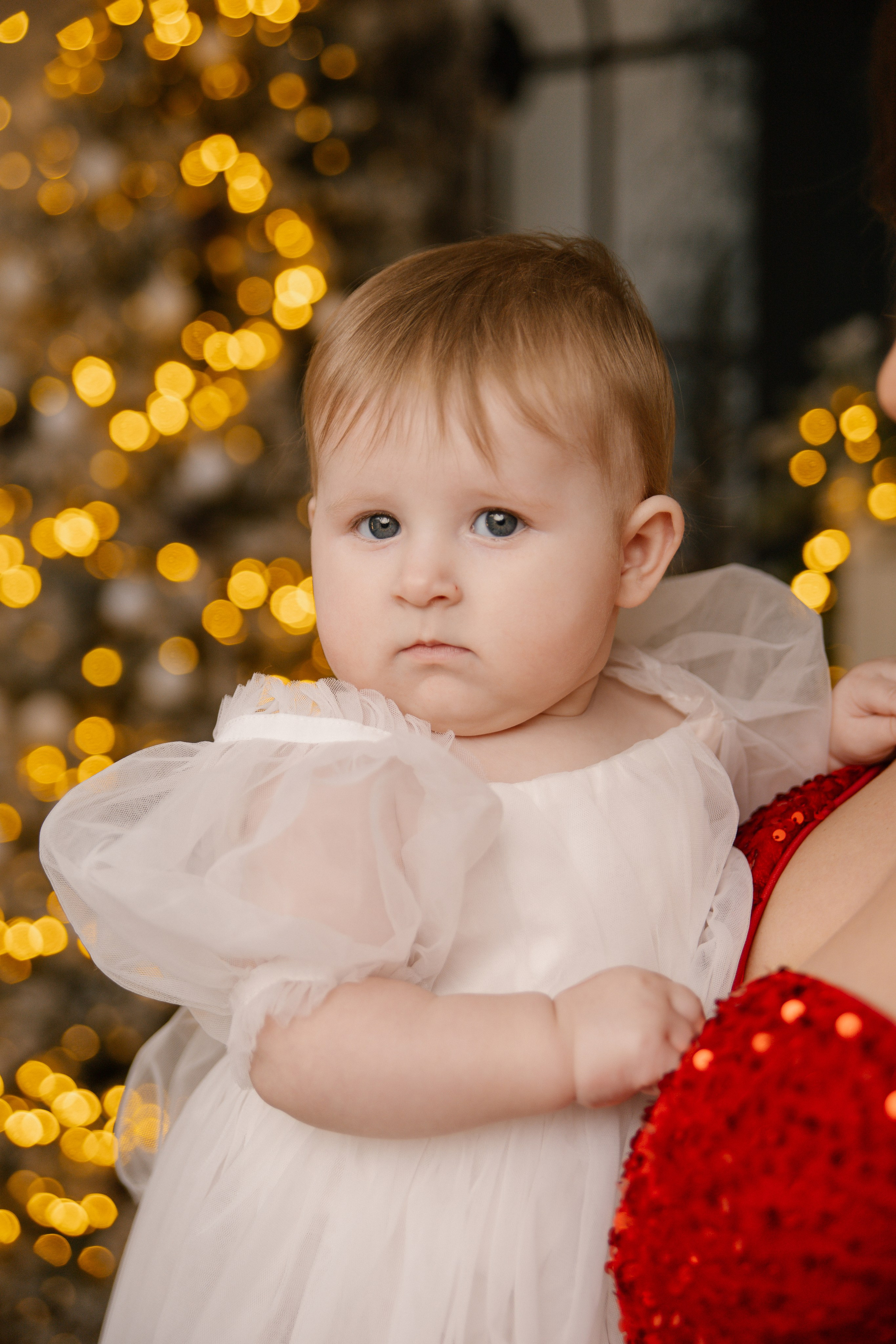 Новый год. Фотограф в городе Лыткарино Волкова Ольга