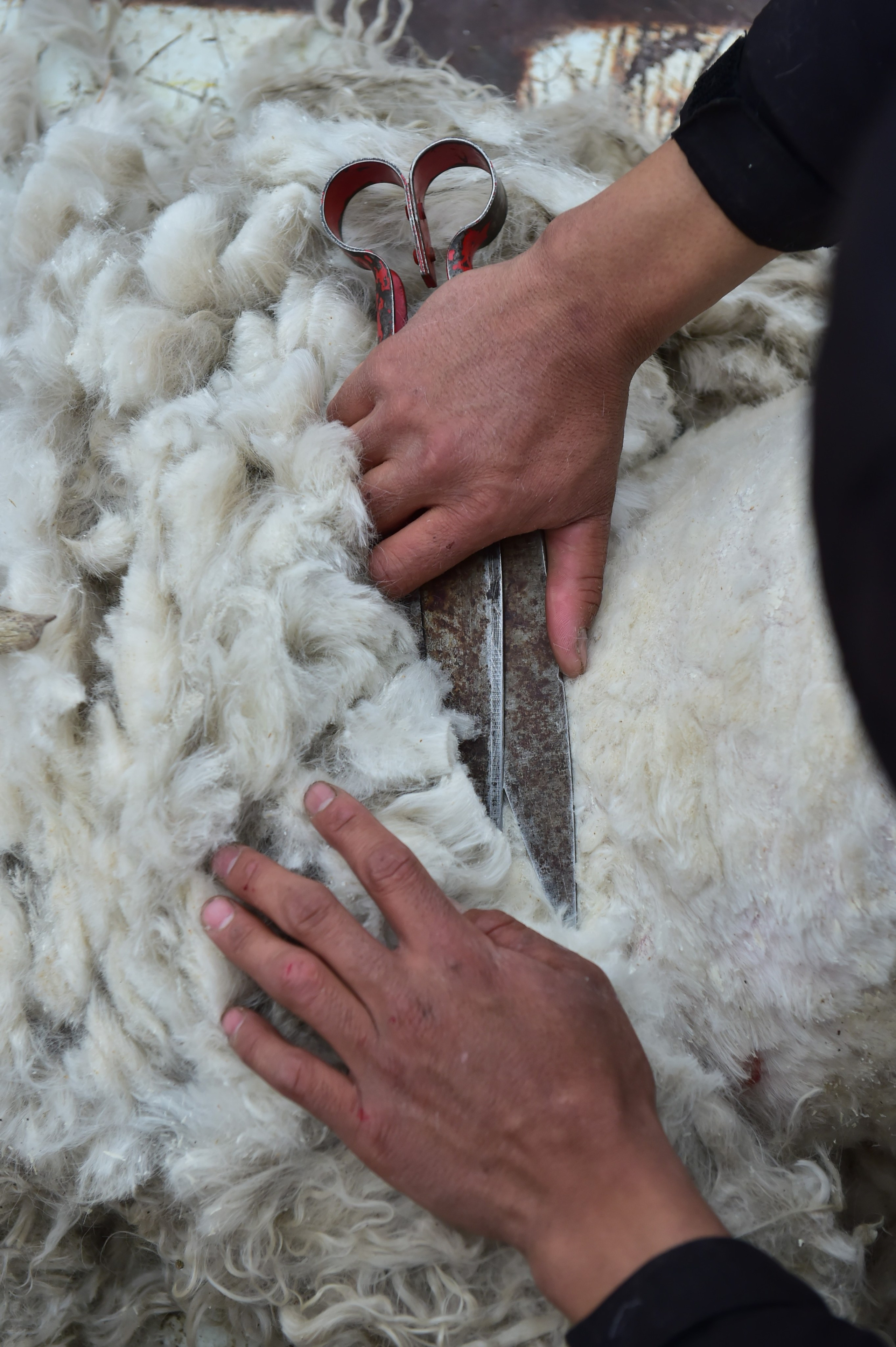 «Пока течет большая вода». Документальный и коммерческий фотограф Влад Некрасов