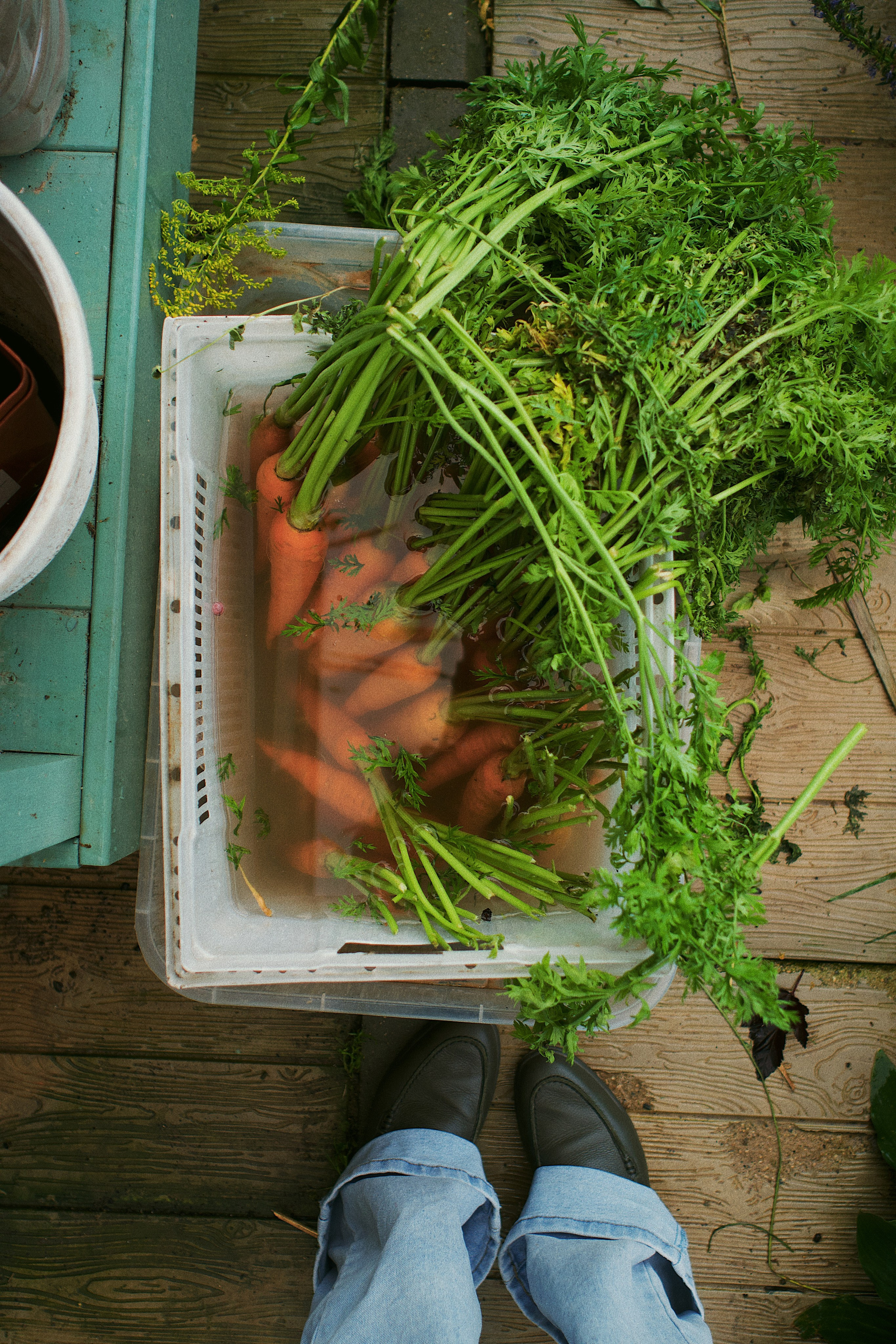 Fazenda. Photokoval.ru