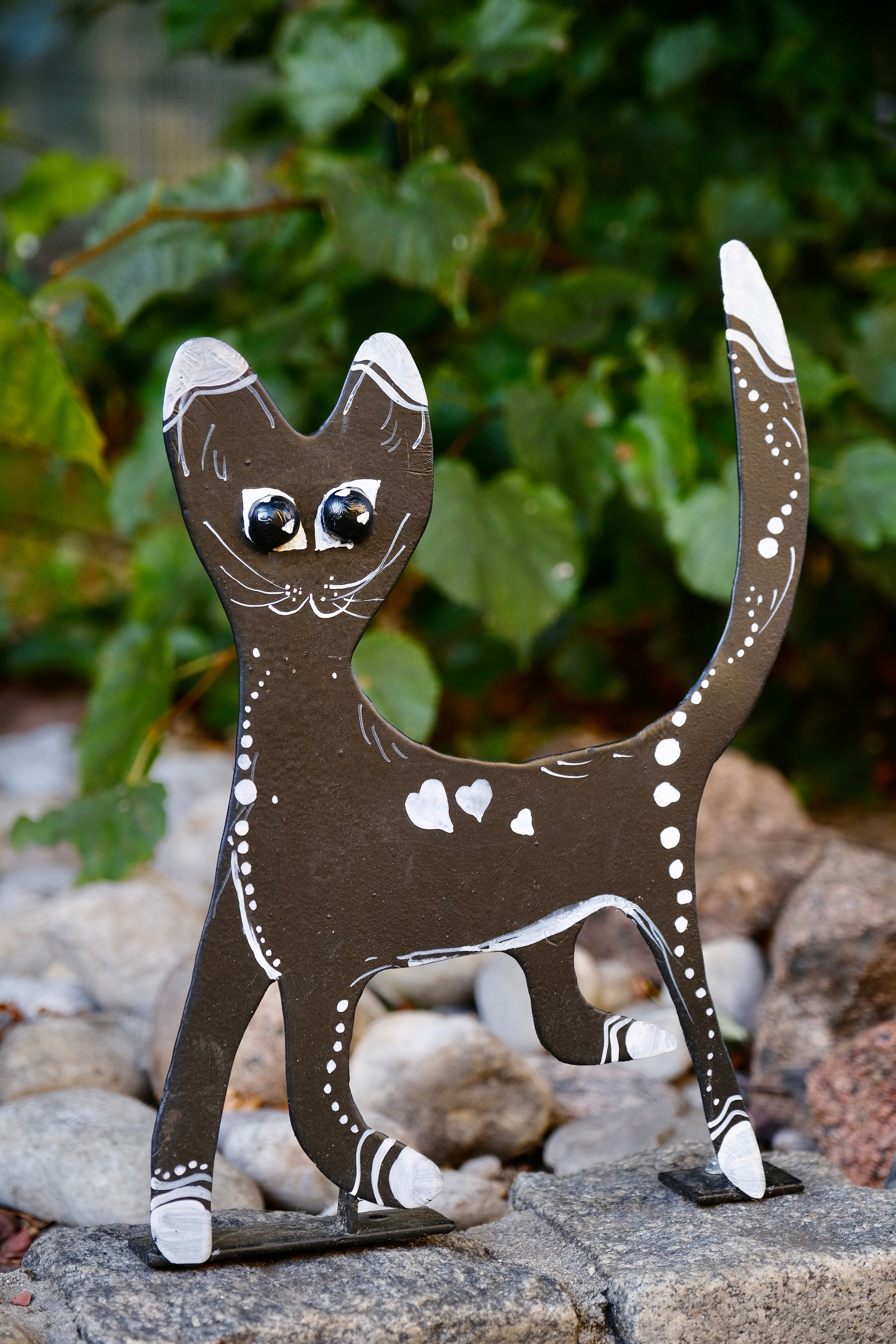 Зеленоградск — город котов. Авто и мотоспорт — фотограф Антон Медведев iCoguar