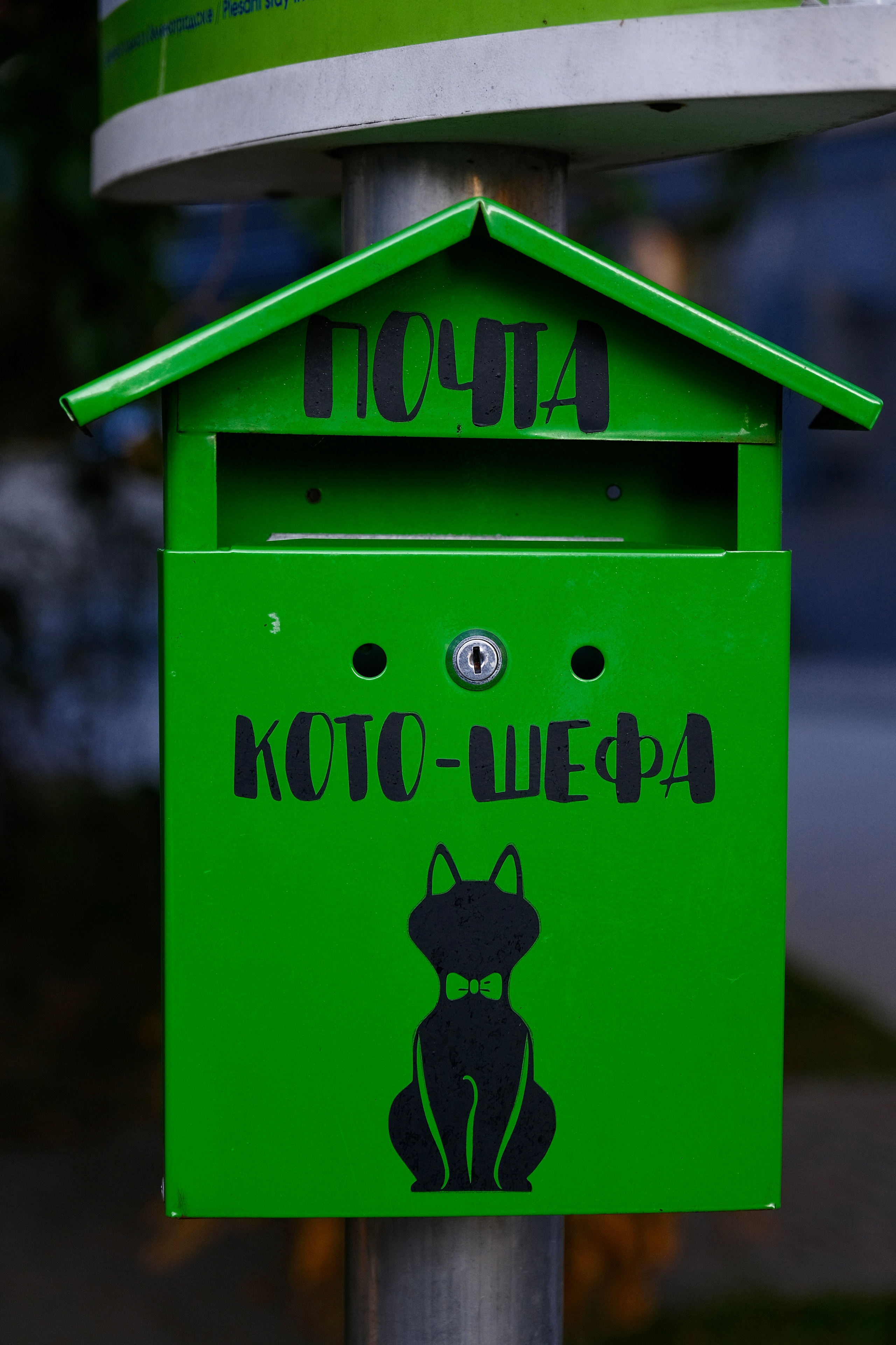 Зеленоградск — город котов. Авто и мотоспорт — фотограф Антон Медведев iCoguar