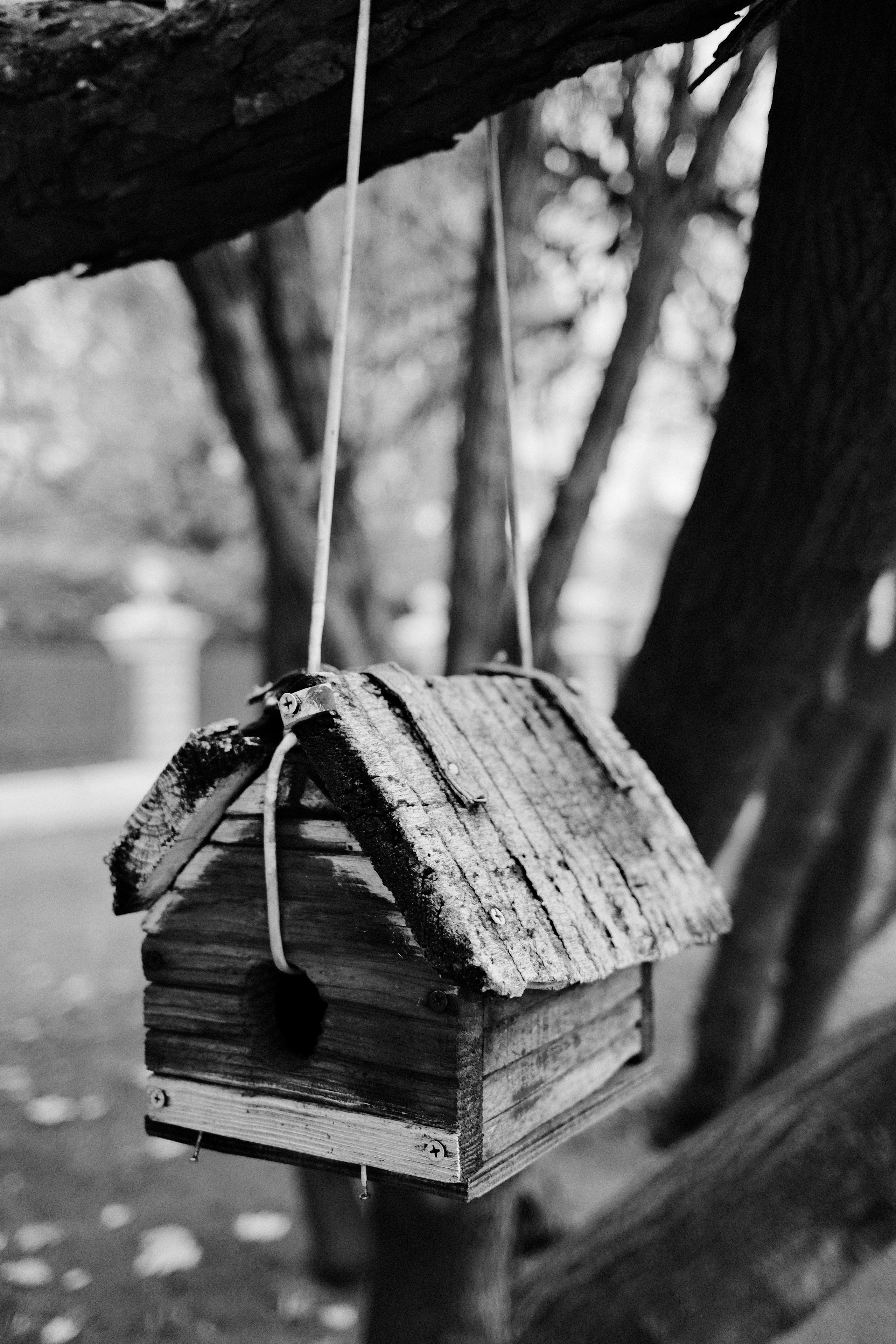 Музей-усадьба Кусково. Цвет. Авто и мотоспорт — фотограф Антон Медведев iCoguar