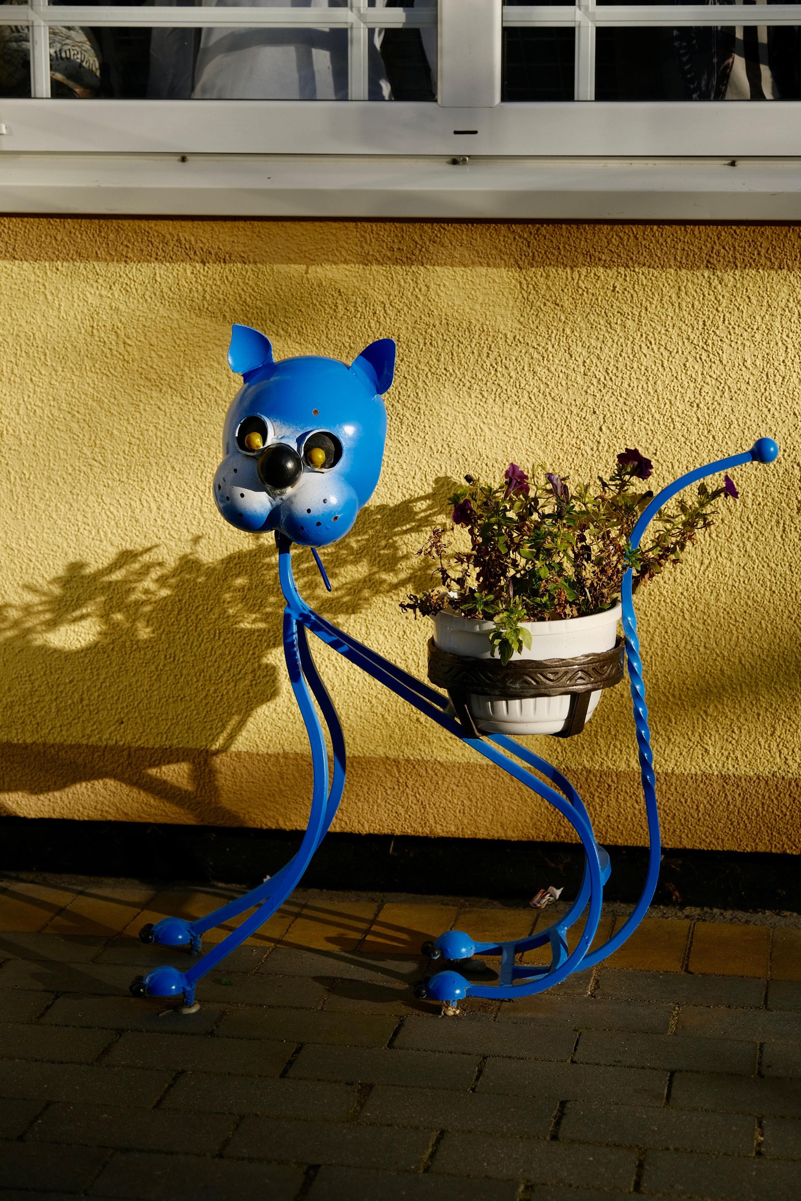 Зеленоградск — город котов. Авто и мотоспорт — фотограф Антон Медведев iCoguar