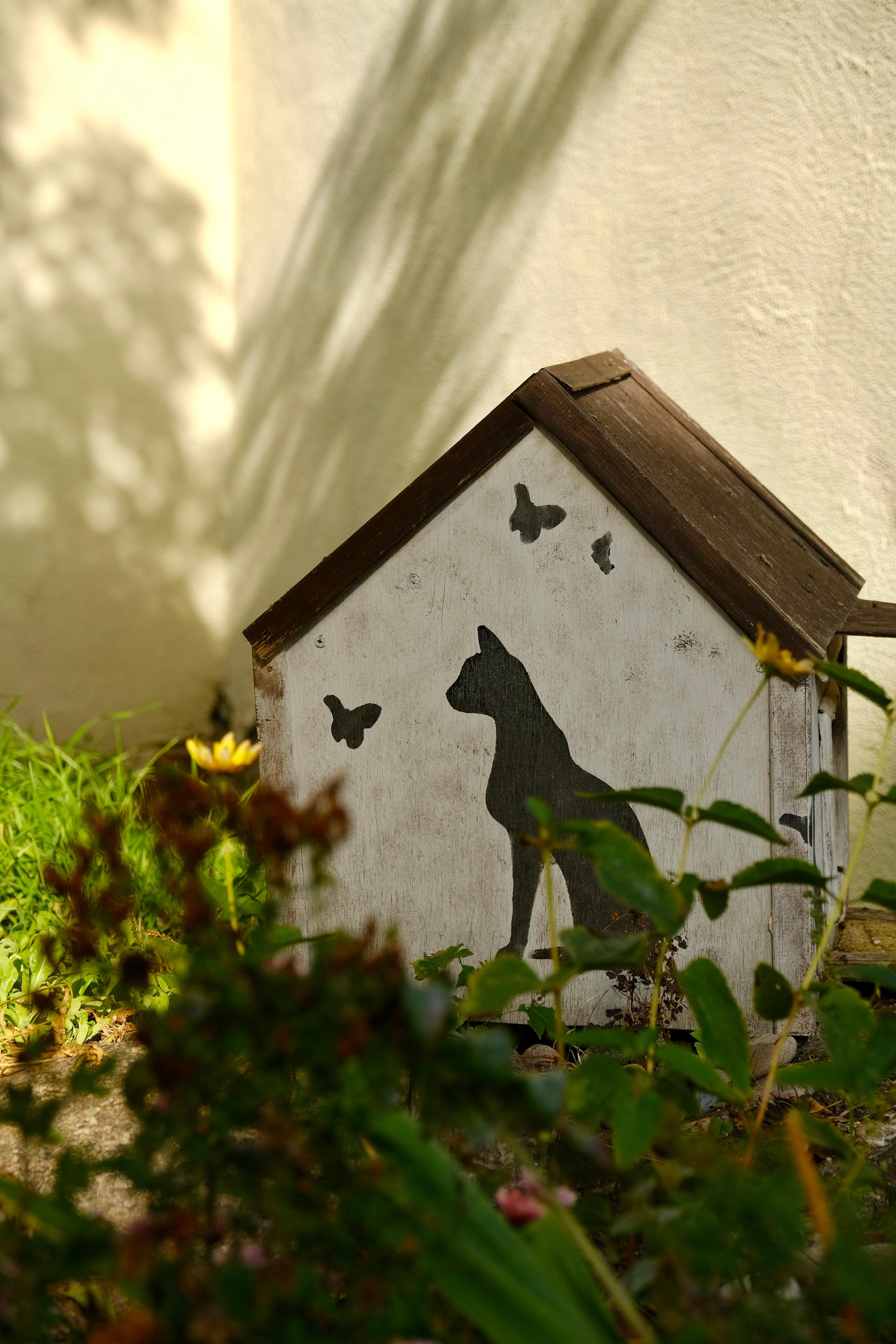 Зеленоградск — город котов. Авто и мотоспорт — фотограф Антон Медведев iCoguar