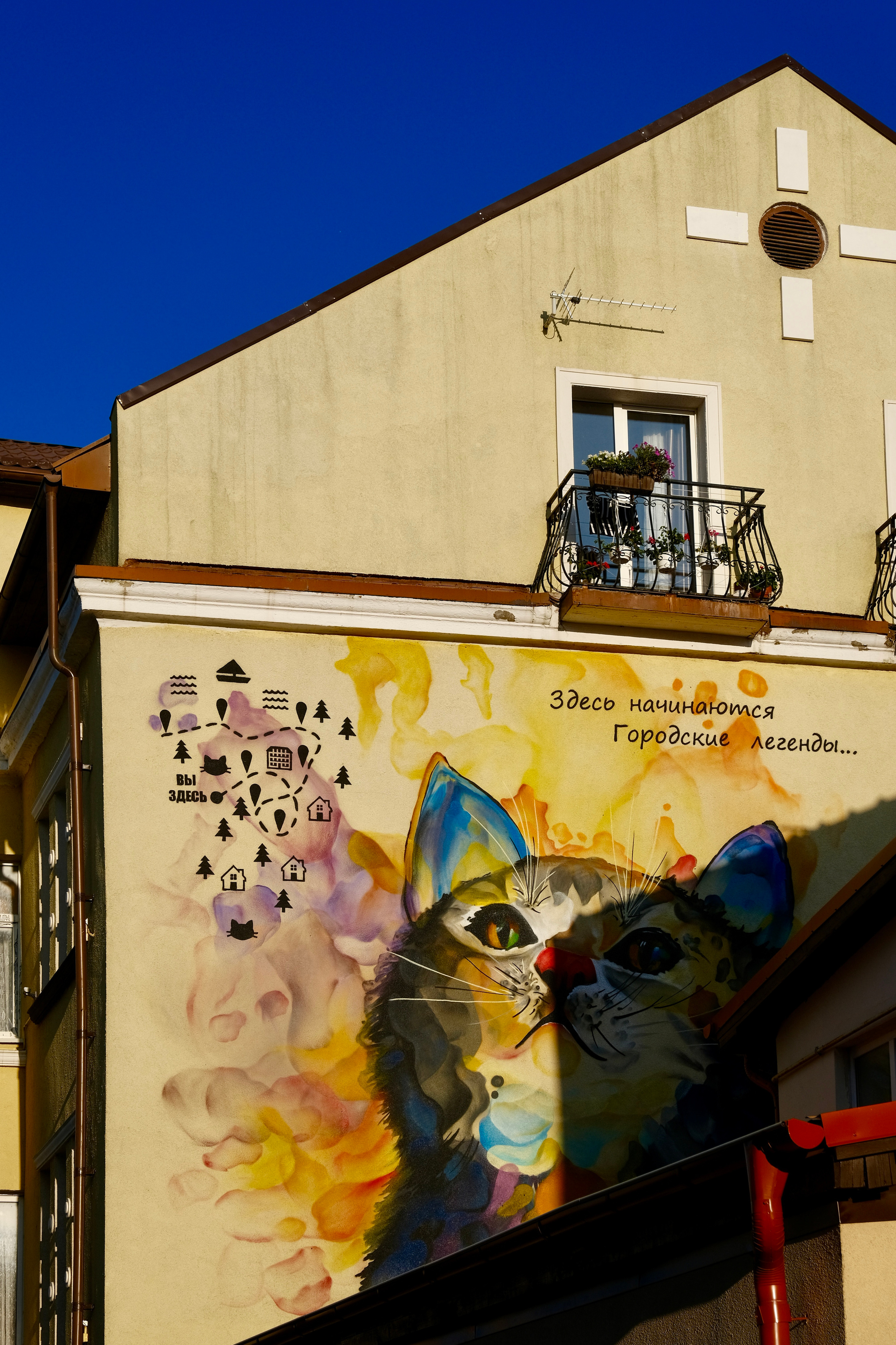 Зеленоградск — город котов. Авто и мотоспорт — фотограф Антон Медведев iCoguar