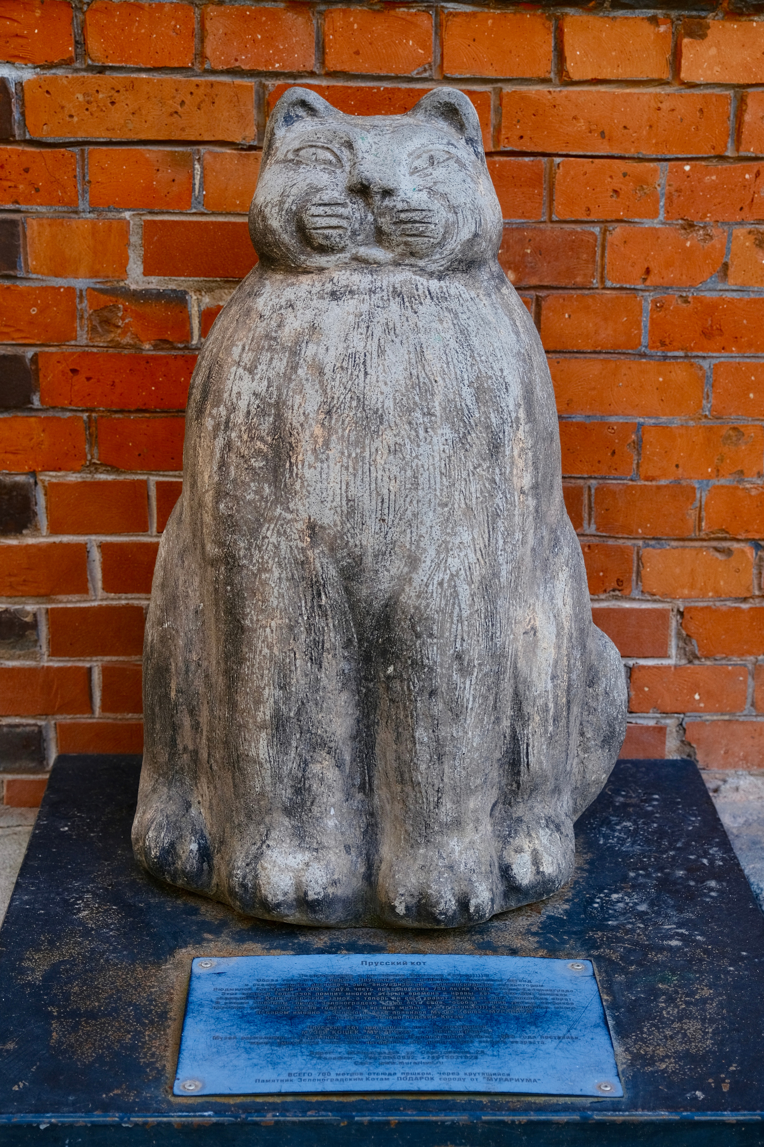 Зеленоградск — город котов. Авто и мотоспорт — фотограф Антон Медведев iCoguar