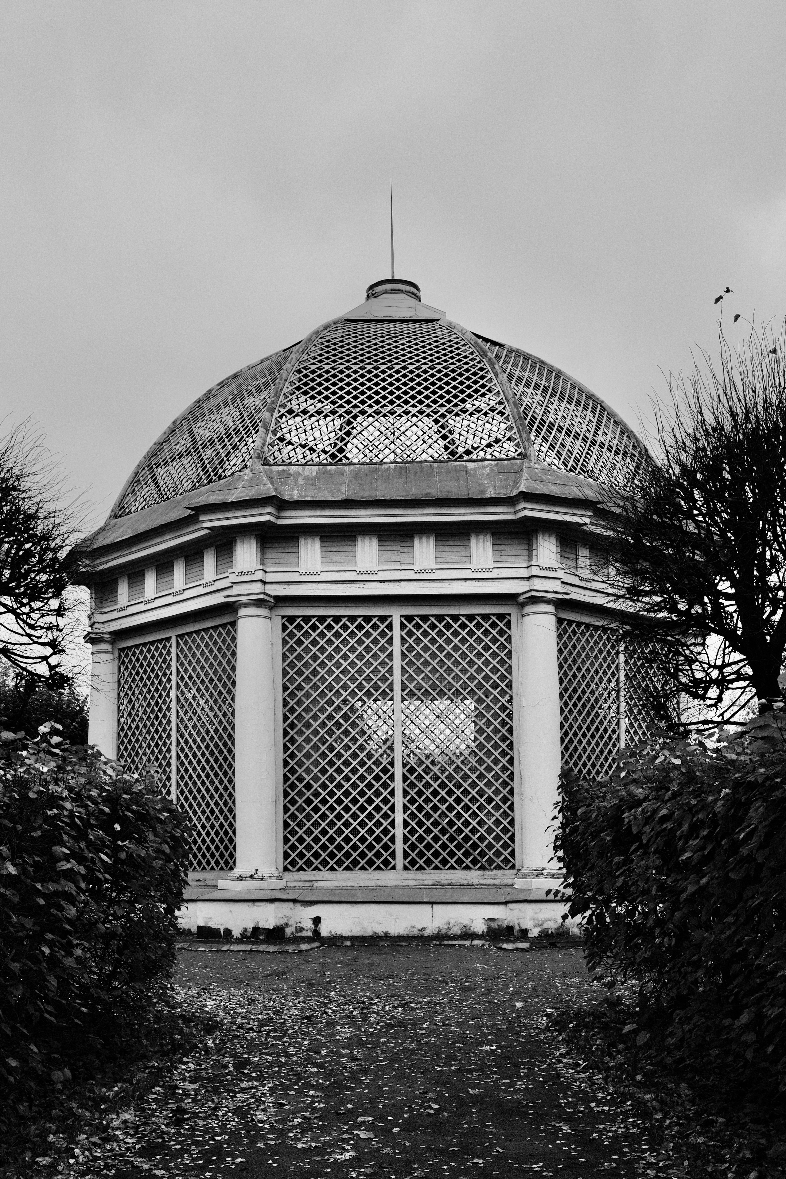 Музей-усадьба Кусково. Цвет. Авто и мотоспорт — фотограф Антон Медведев iCoguar