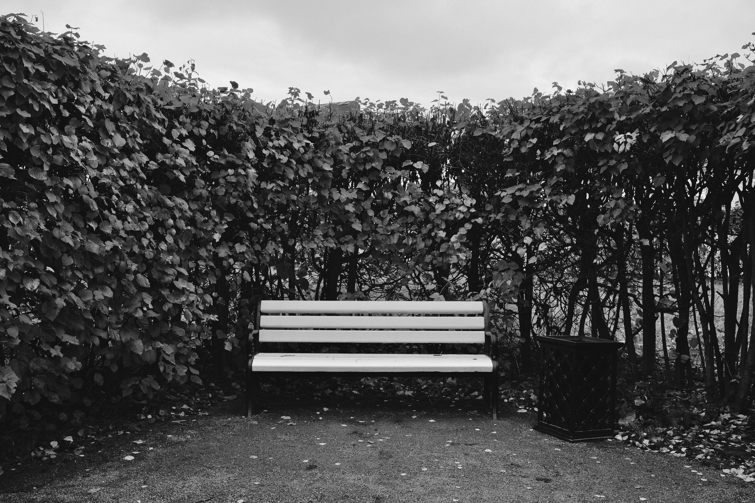 Музей-усадьба Кусково. Цвет. Авто и мотоспорт — фотограф Антон Медведев iCoguar