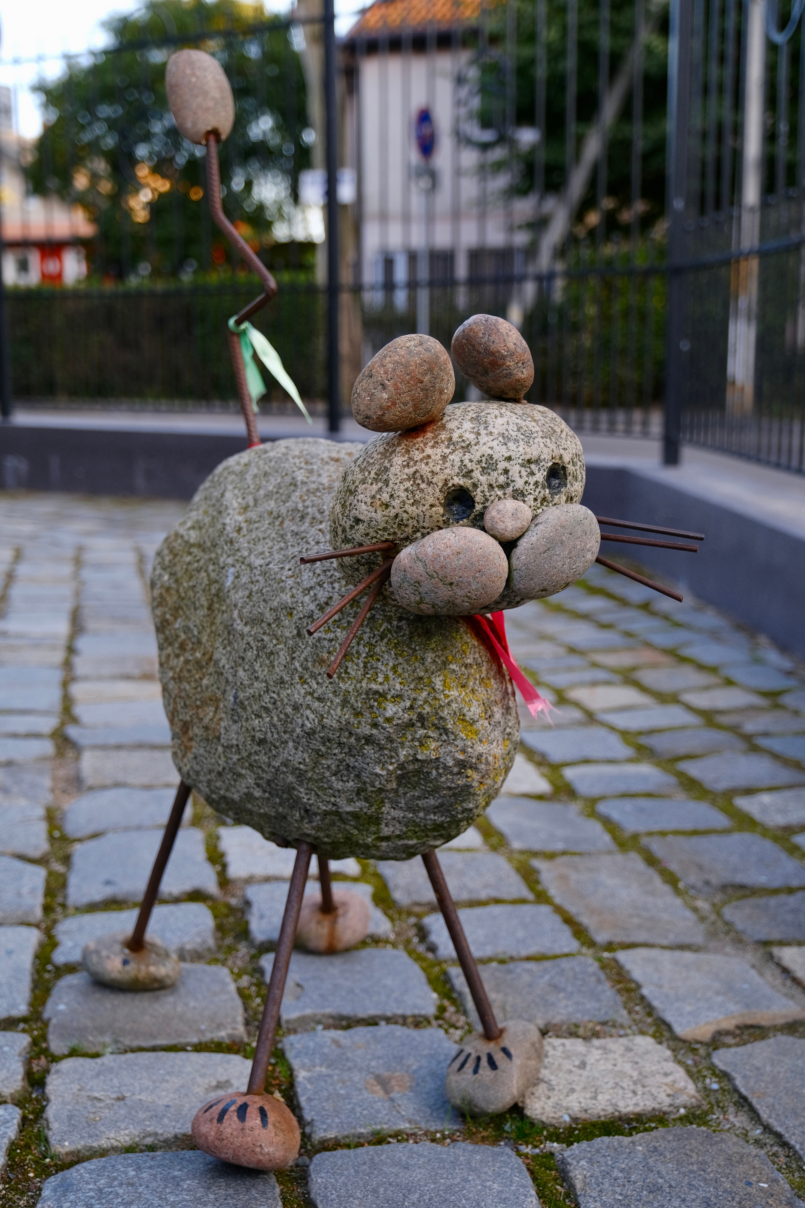 Зеленоградск — город котов. Авто и мотоспорт — фотограф Антон Медведев iCoguar