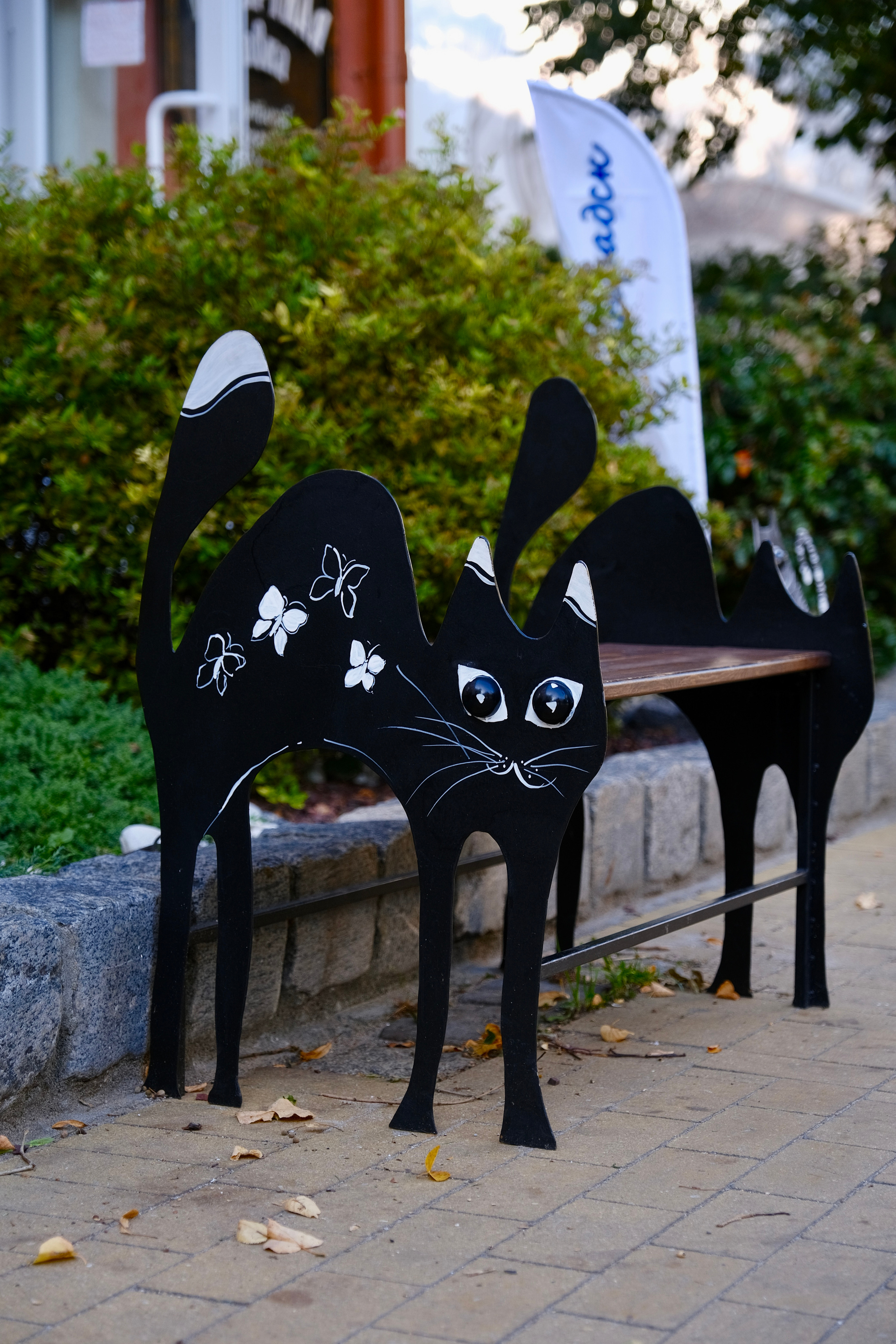 Зеленоградск — город котов. Авто и мотоспорт — фотограф Антон Медведев iCoguar