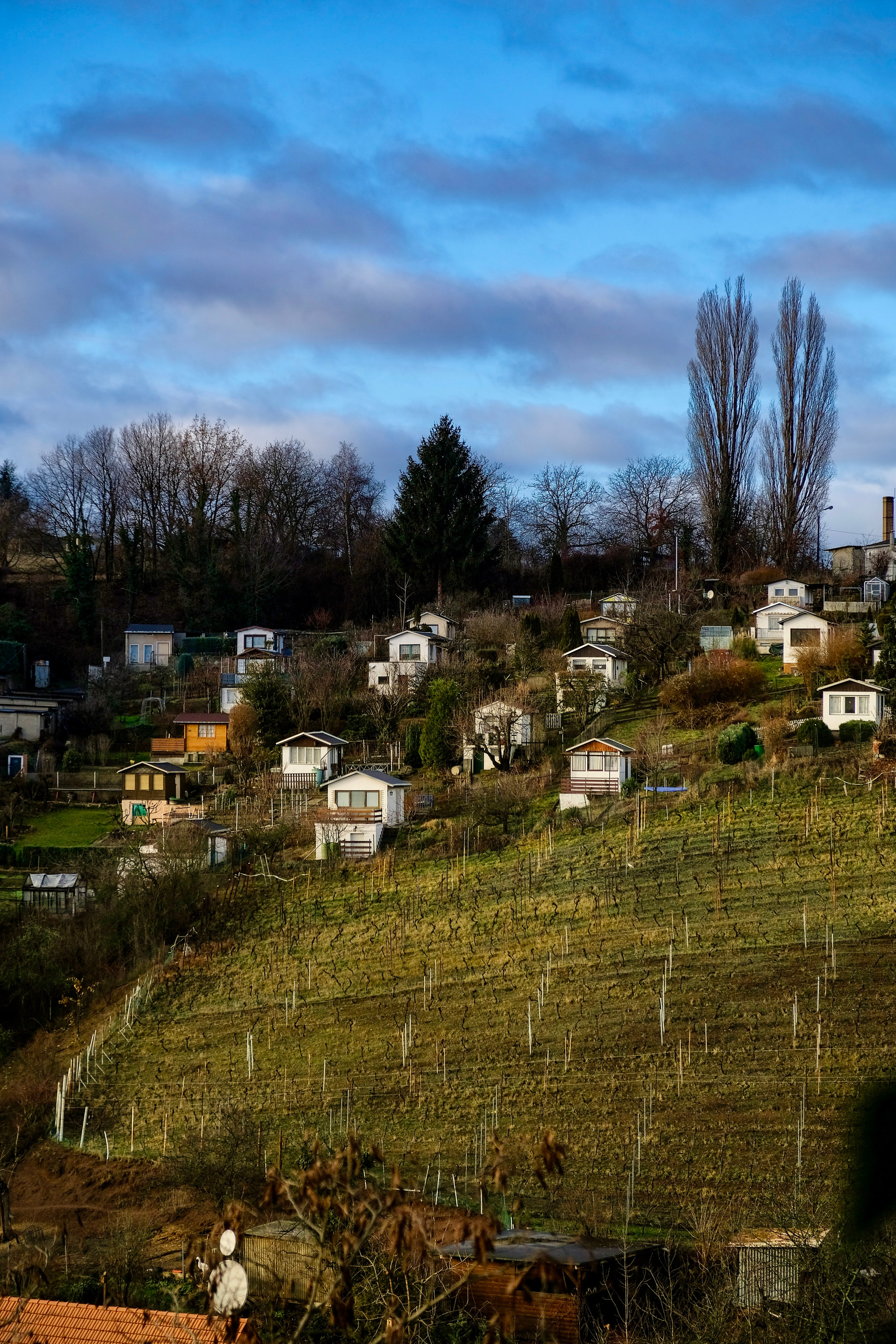 Майсен. Авто и мотоспорт — фотограф Антон Медведев iCoguar