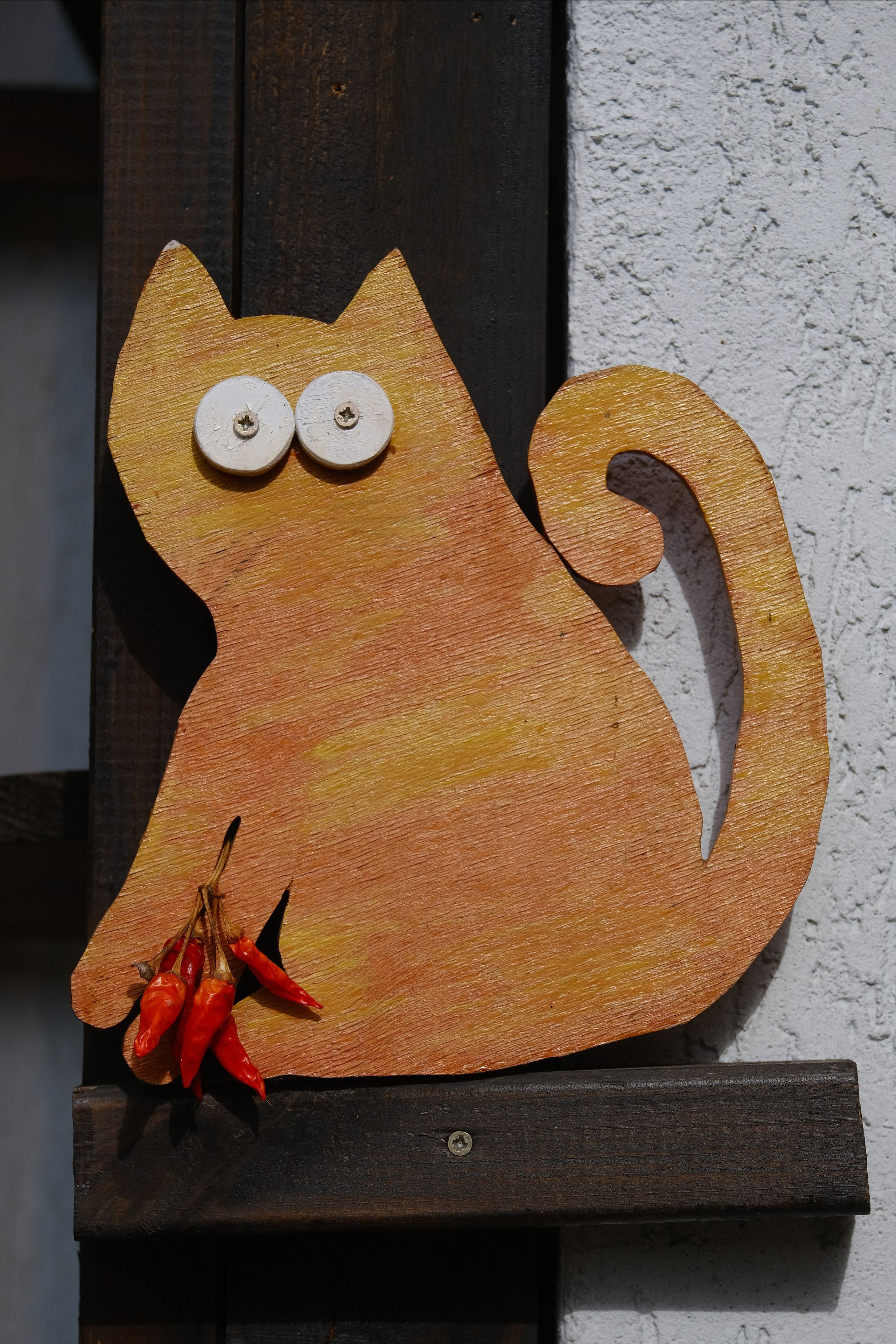 Зеленоградск — город котов. Авто и мотоспорт — фотограф Антон Медведев iCoguar