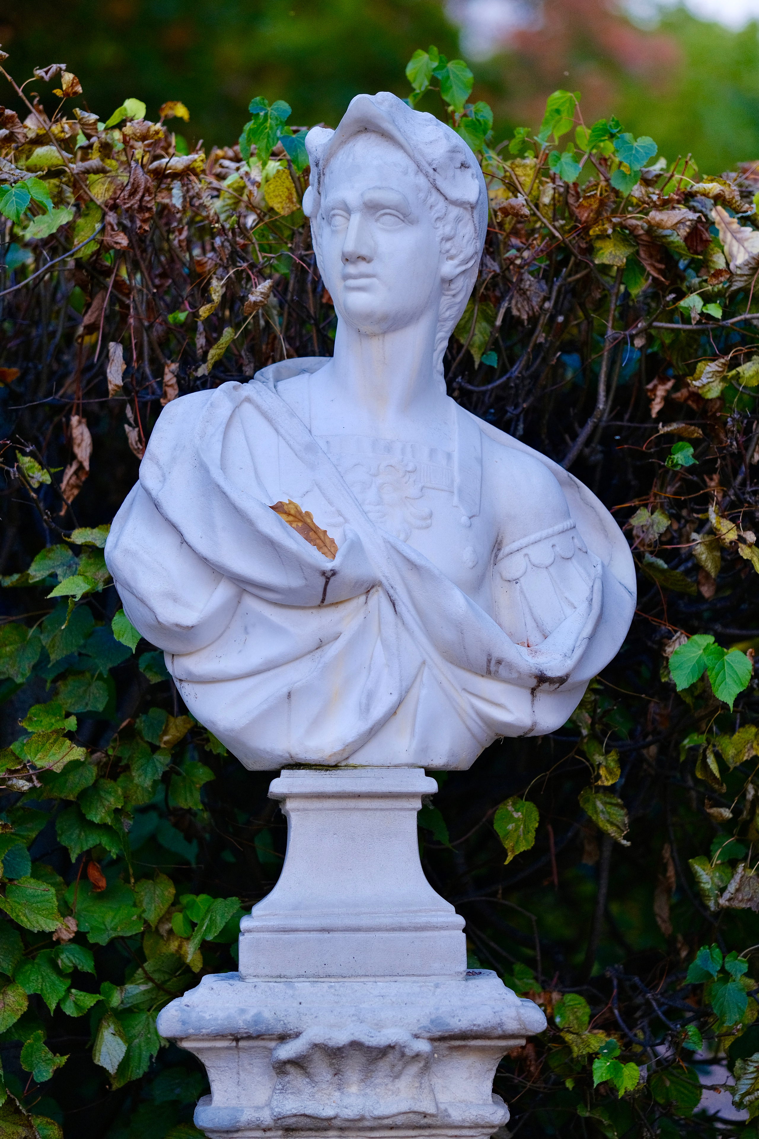 Музей-усадьба Кусково. Монохром. Авто и мотоспорт — фотограф Антон Медведев iCoguar