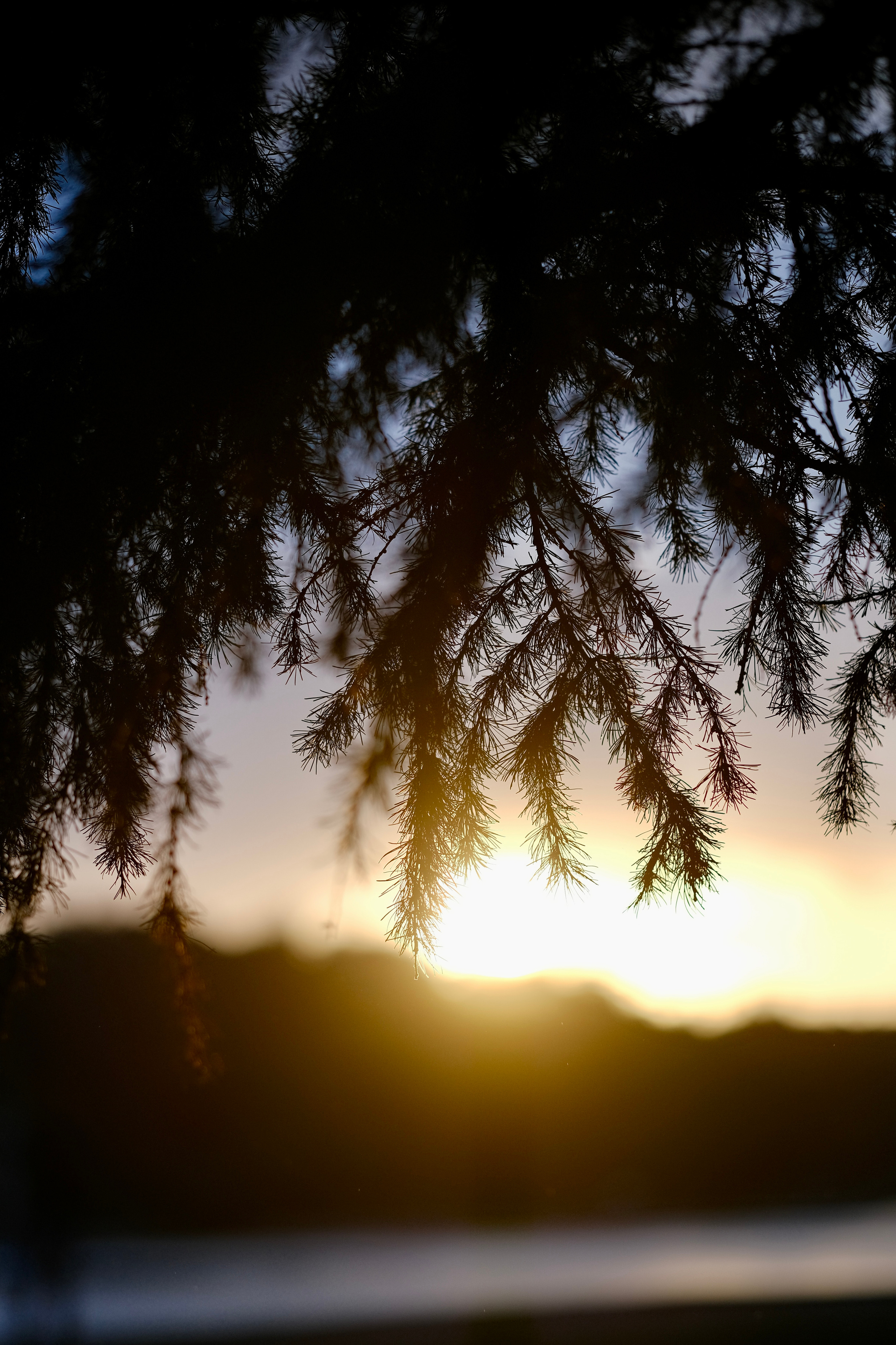 Музей-усадьба Кусково. Монохром. Авто и мотоспорт — фотограф Антон Медведев iCoguar