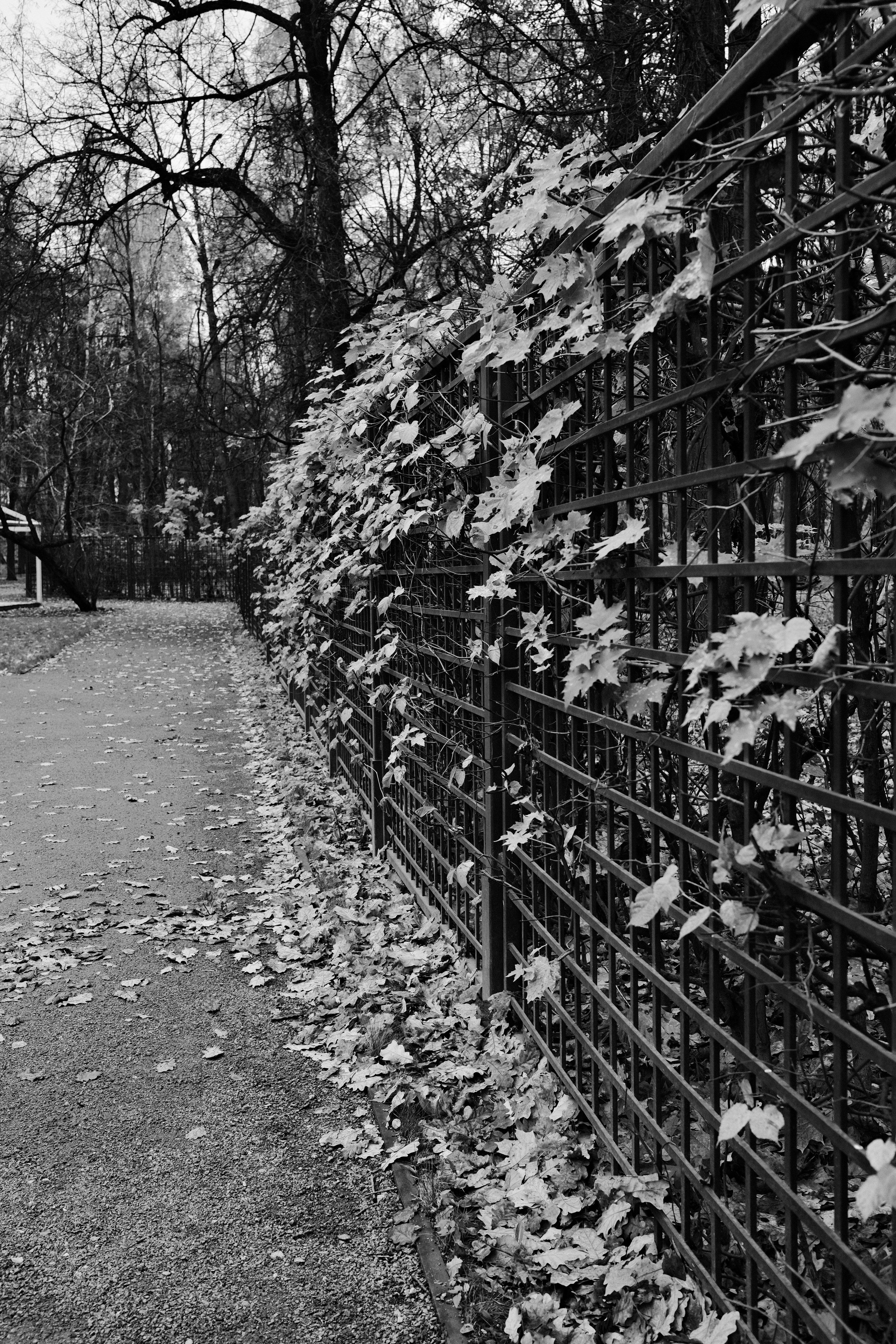 Музей-усадьба Кусково. Цвет. Авто и мотоспорт — фотограф Антон Медведев iCoguar