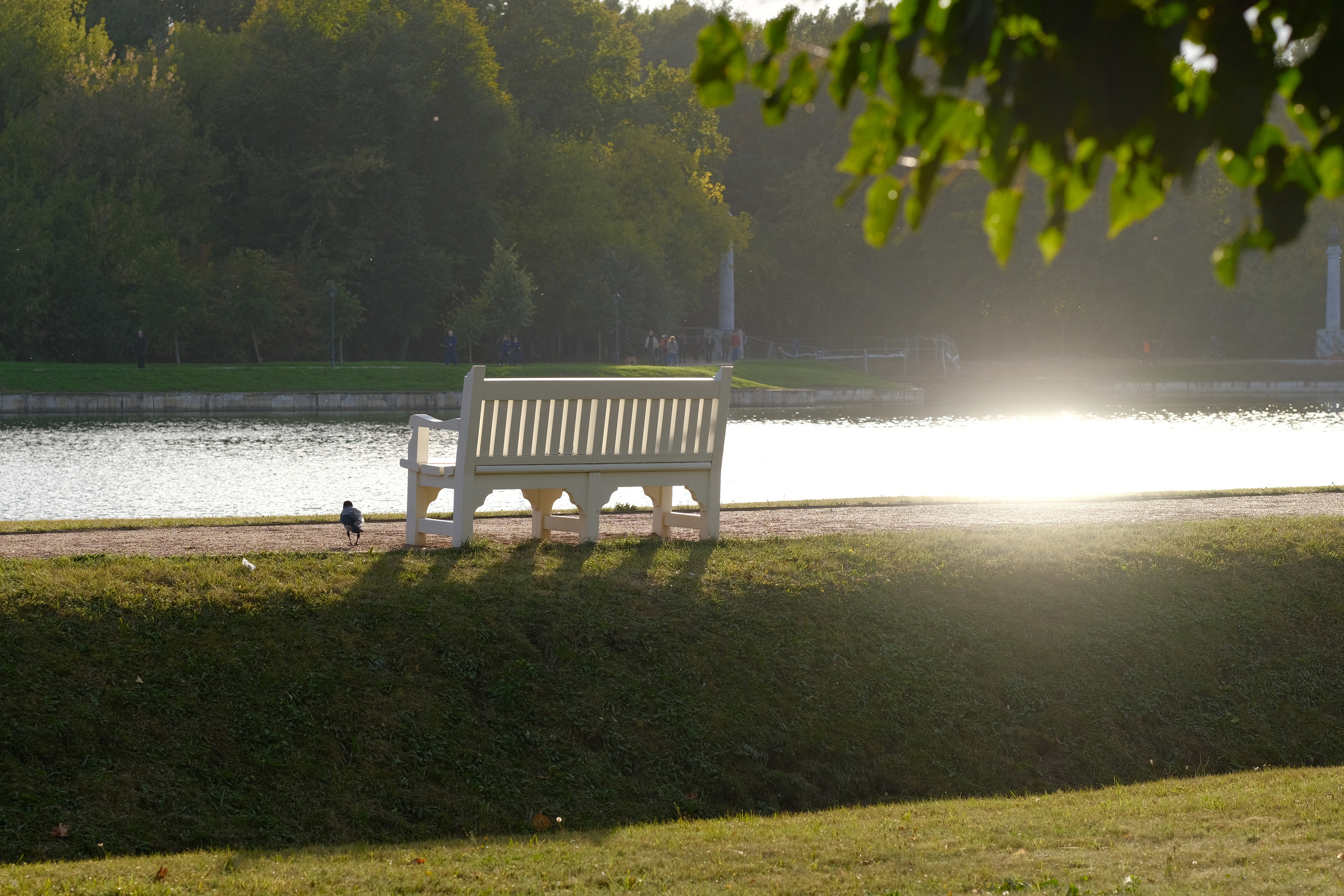 Музей-усадьба Кусково. Монохром. Авто и мотоспорт — фотограф Антон Медведев iCoguar