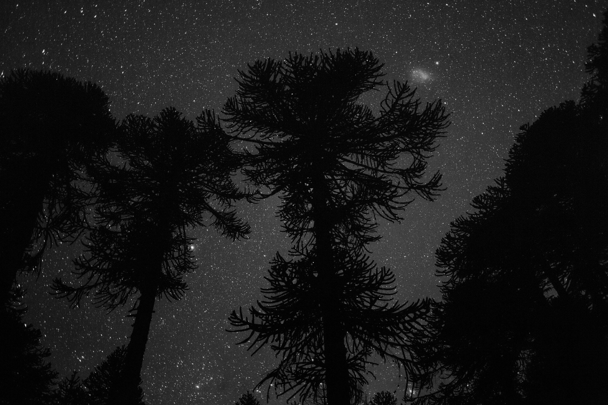 LANDSCAPE. Portrait and business photographer in Moscow Andrey Nikolsky