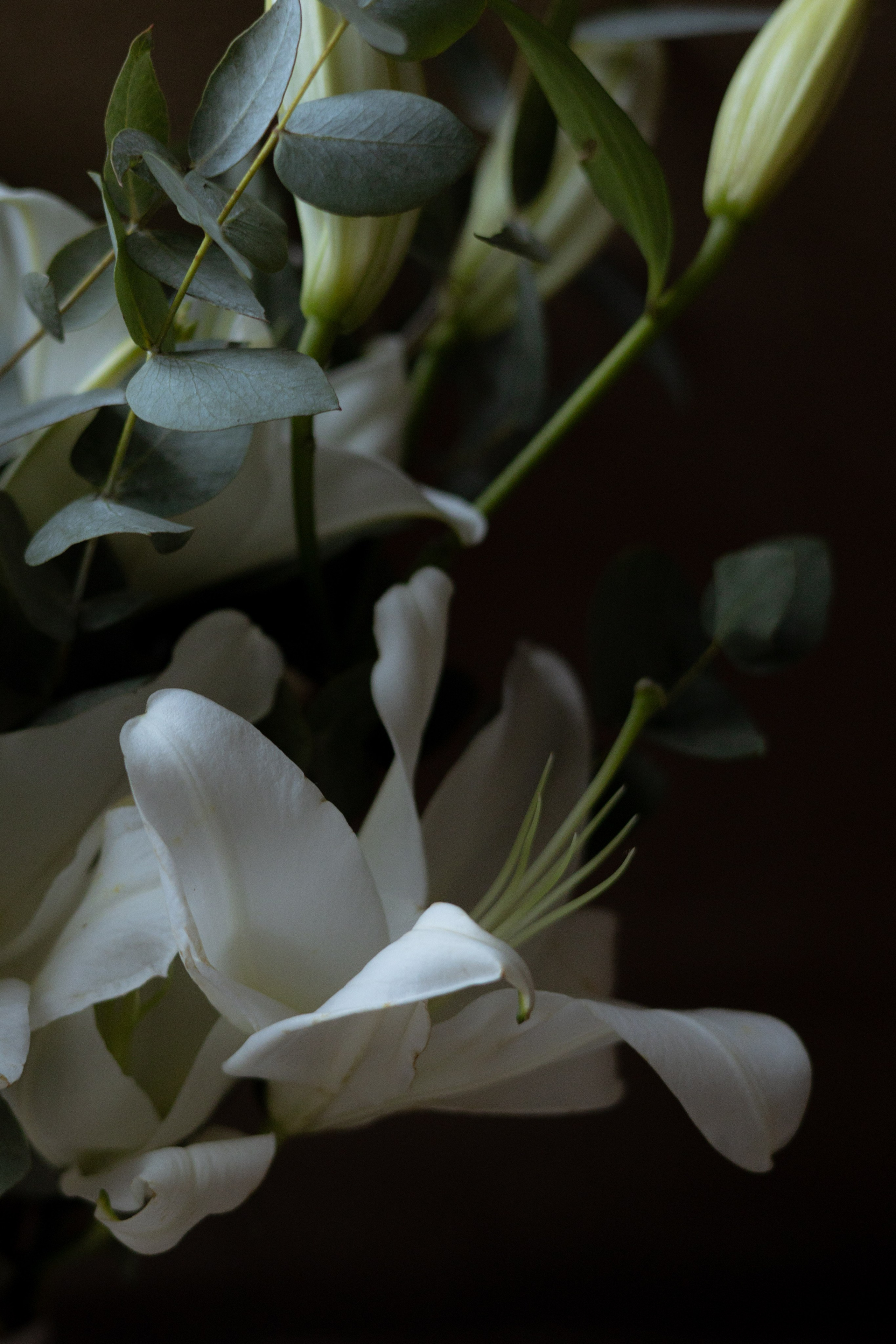 Лиза & Никита. Оформление свадеб, декор свадеб Вера Маркова, Москва