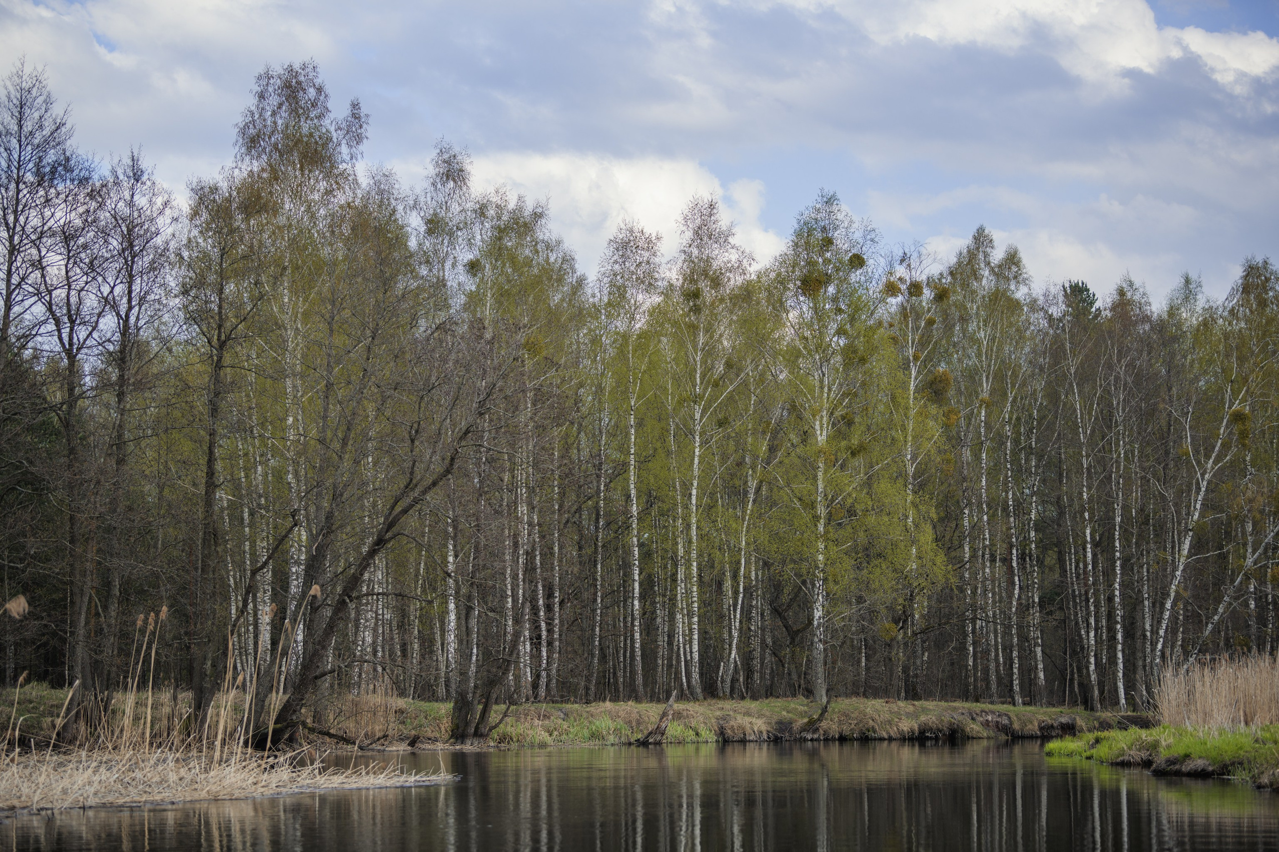 Водный поход 1-й кс по реке Случь. Репортажный фотограф Владимир Беляй