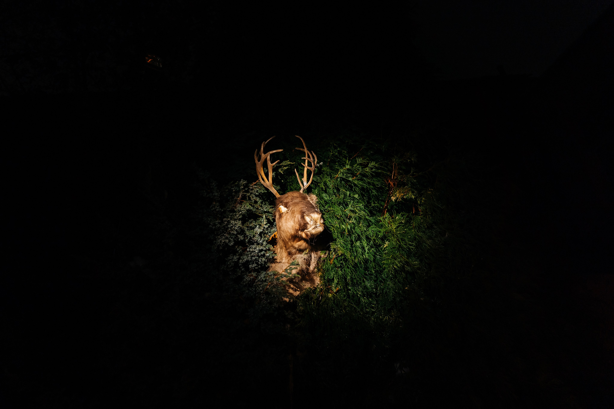 Корпоратив Helloween. Фотограф Новополоцк, Полоцк, Минск, РБ, Зимаков Егор