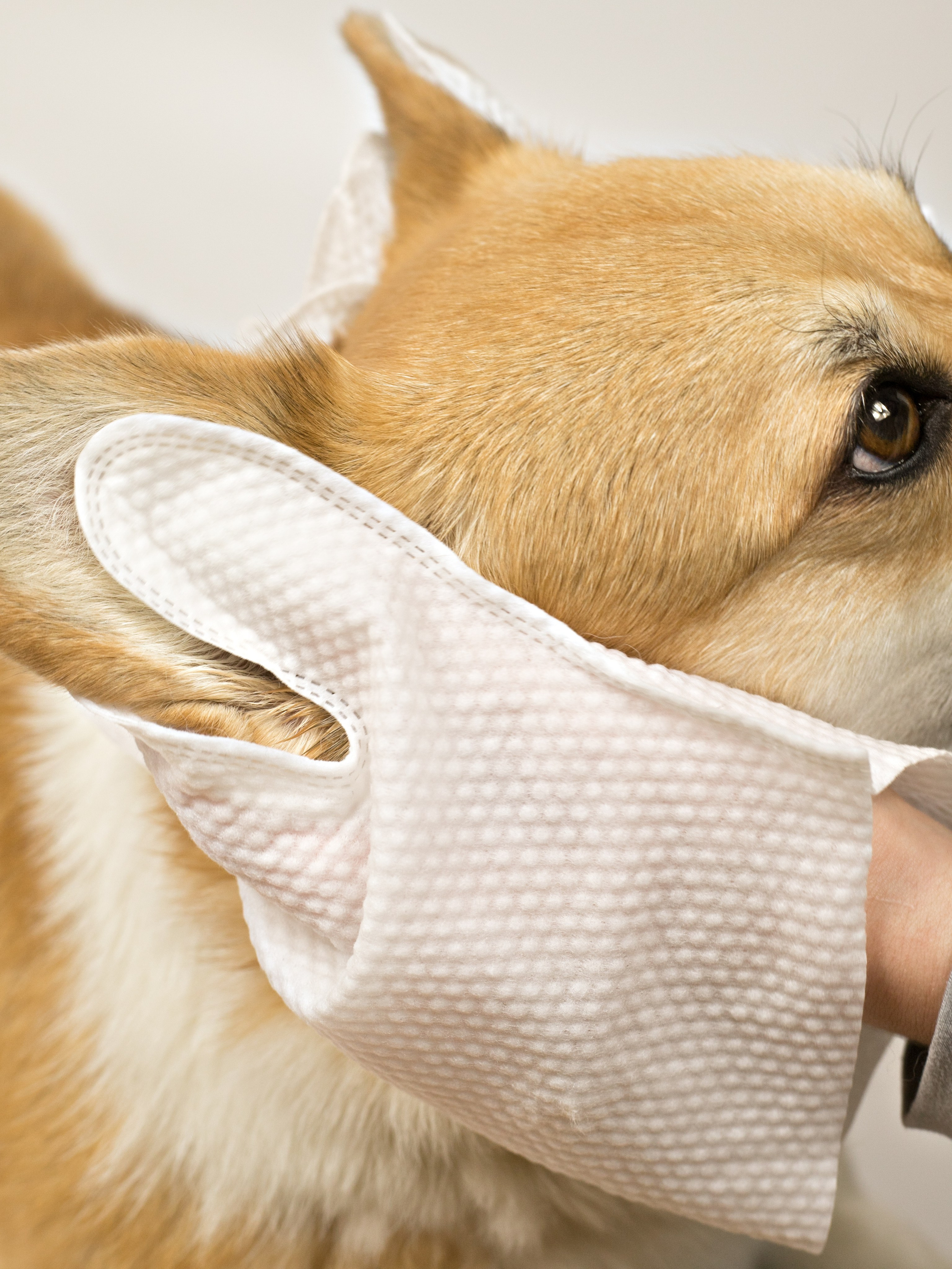 Фотосессия. Профессиональный фотограф в Москве