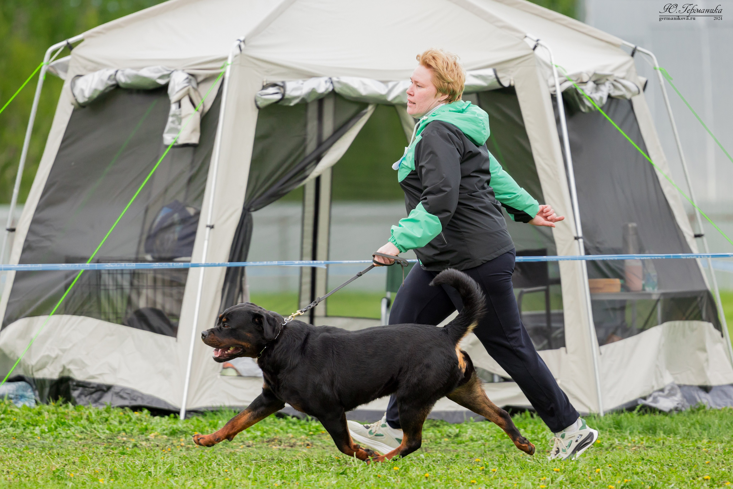 Нижний Новгород 11-12.05.2024 моно ротвейлеров. Фотограф-анималист Юлия Германика