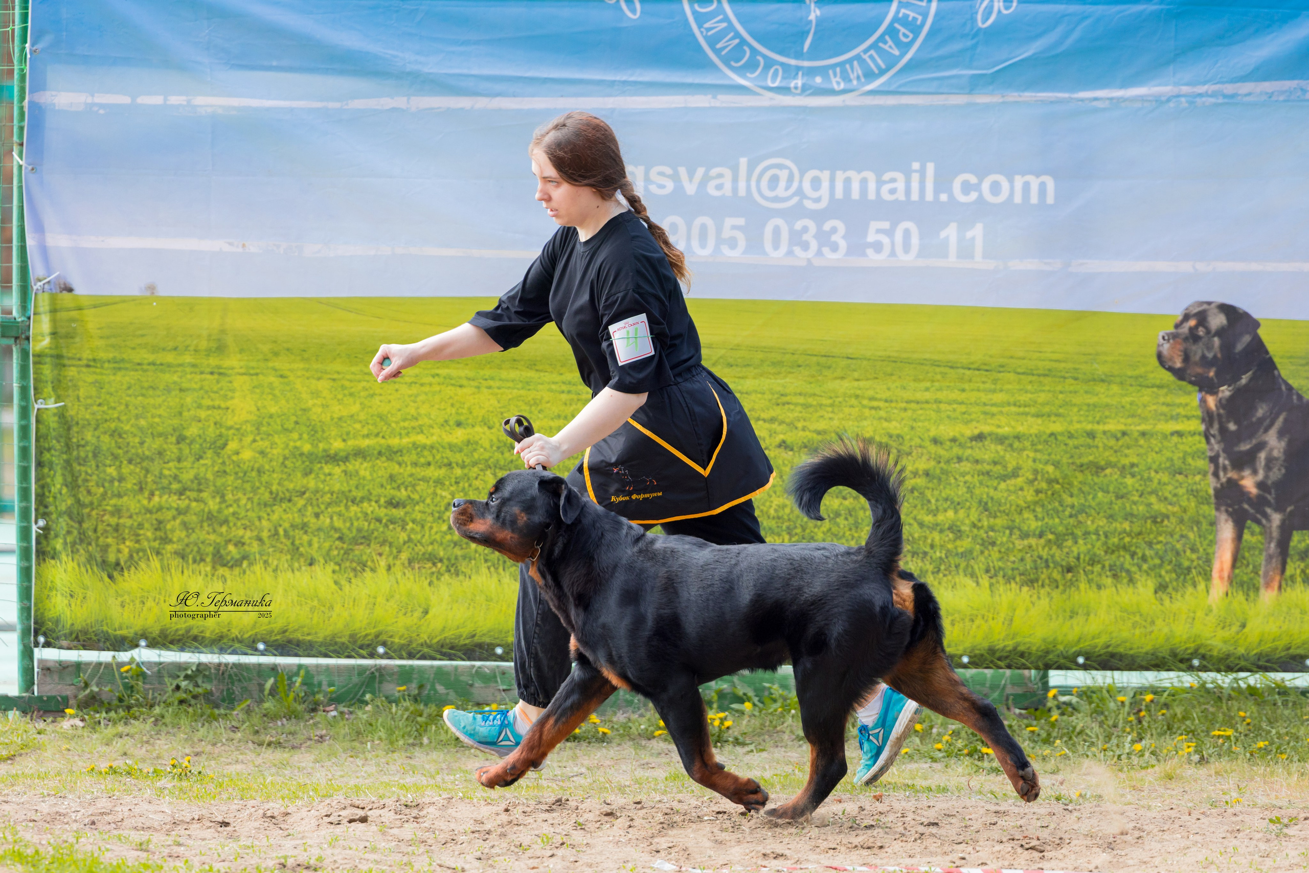 Саратов моно ротвейлеров 26-27.04.2025. Фотограф-анималист Юлия Германика