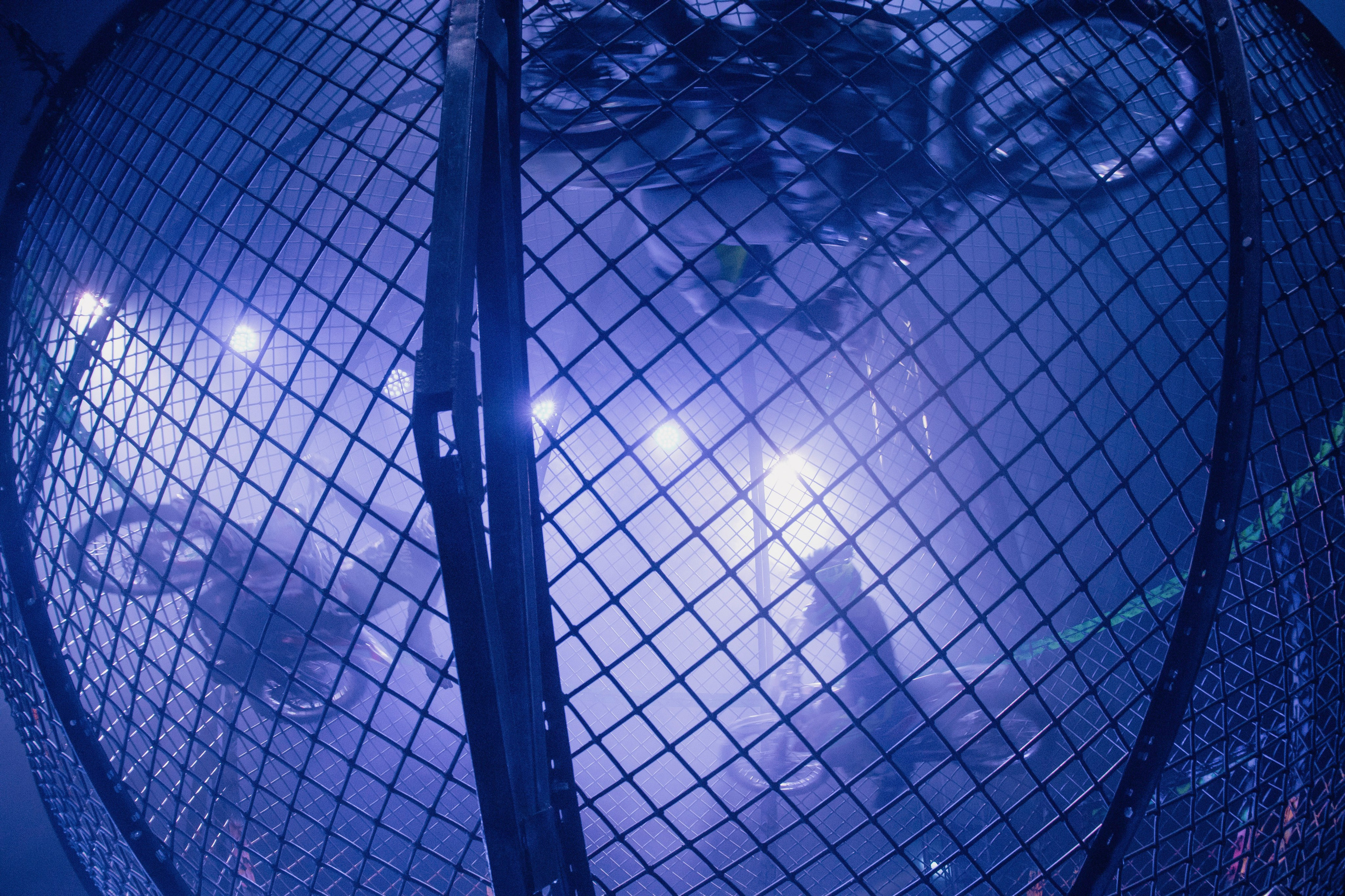 Цирк Демидовых. Репортажный, event, love-story, креативный фотограф мероприятий в Ярославле Мелюшин Александр