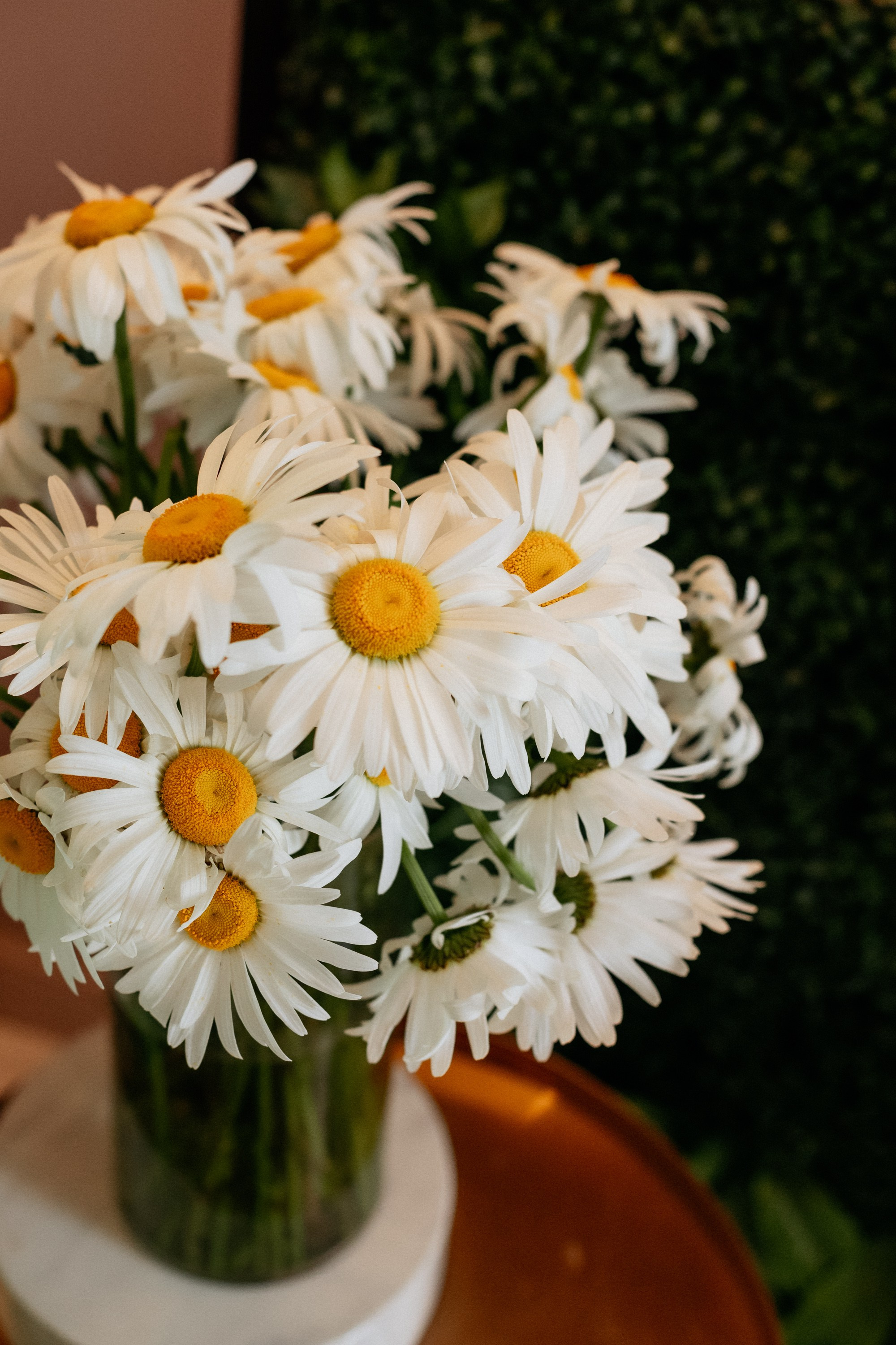 PROBIRKA21 — КИНОПОКАЗ. СВОИ. ФОТООТЧЕТЫ-СОБЫТИЯ-МЕСТА