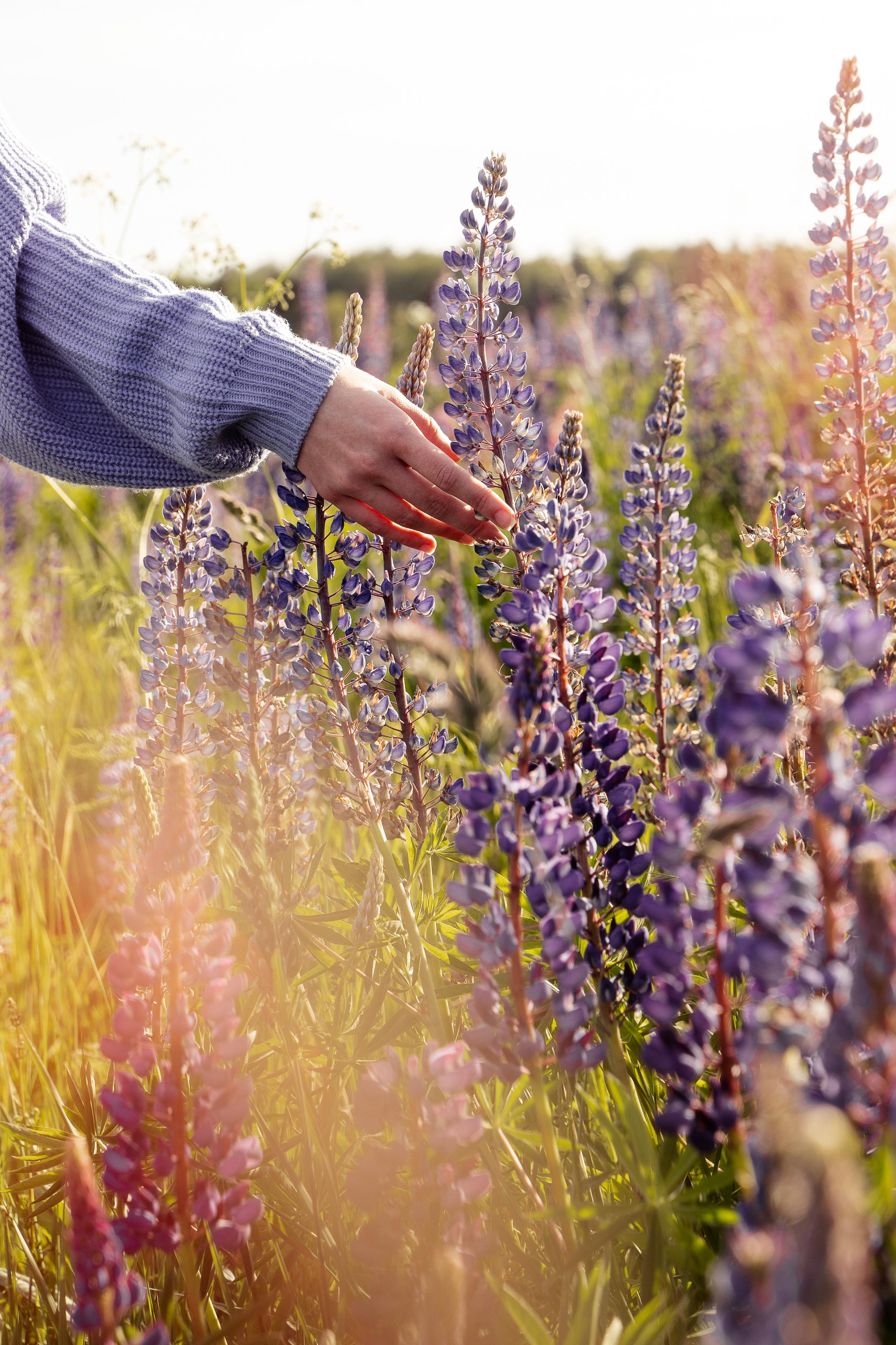 Индивидуальная съемка. Фотограф Ольга Шупель