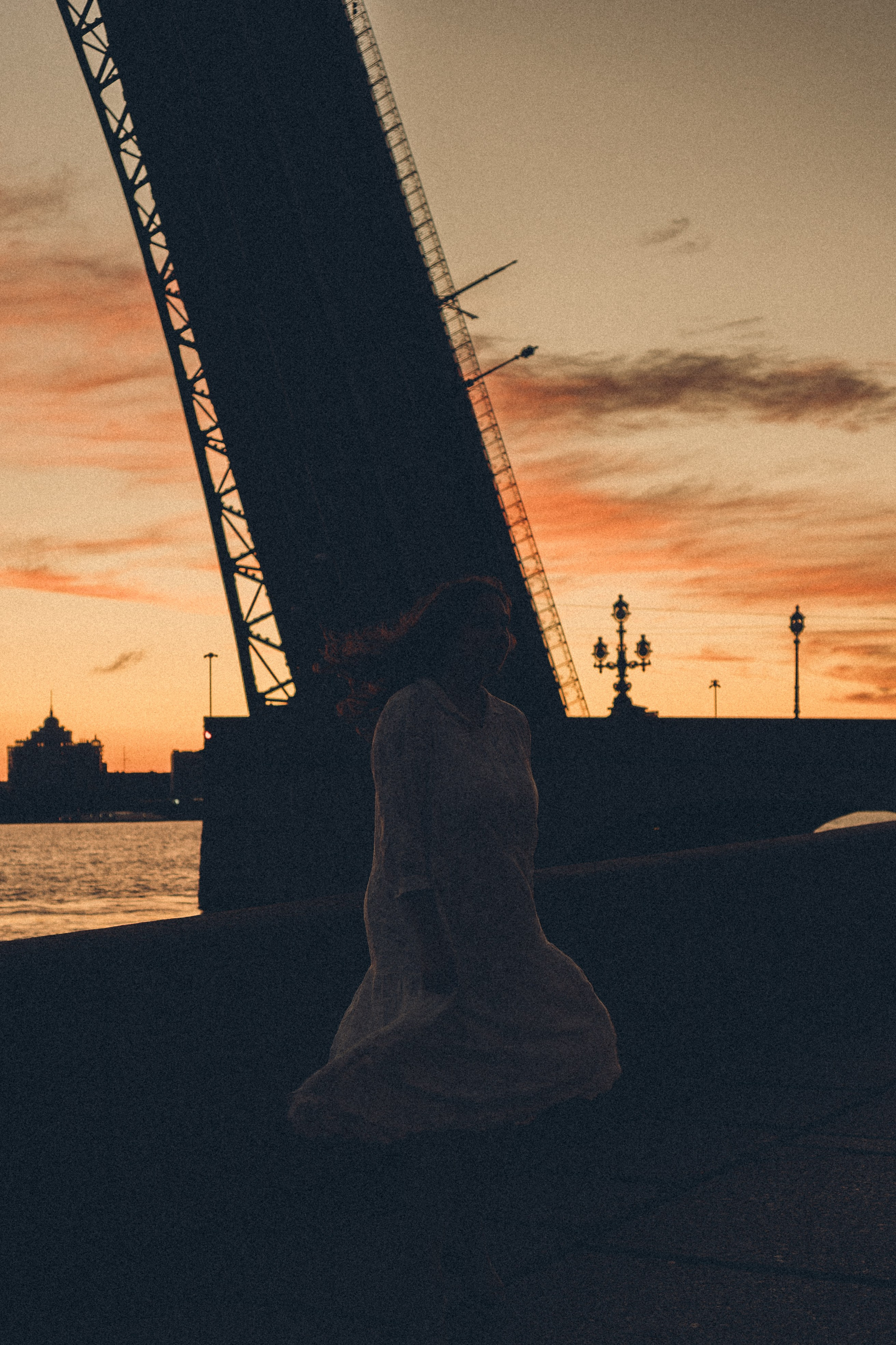 РАССВЕТ С РАЗВОДНЫМИ МОСТАМИ. Профессиональный фотограф, Санкт-Петербург — Виктория Богомолова