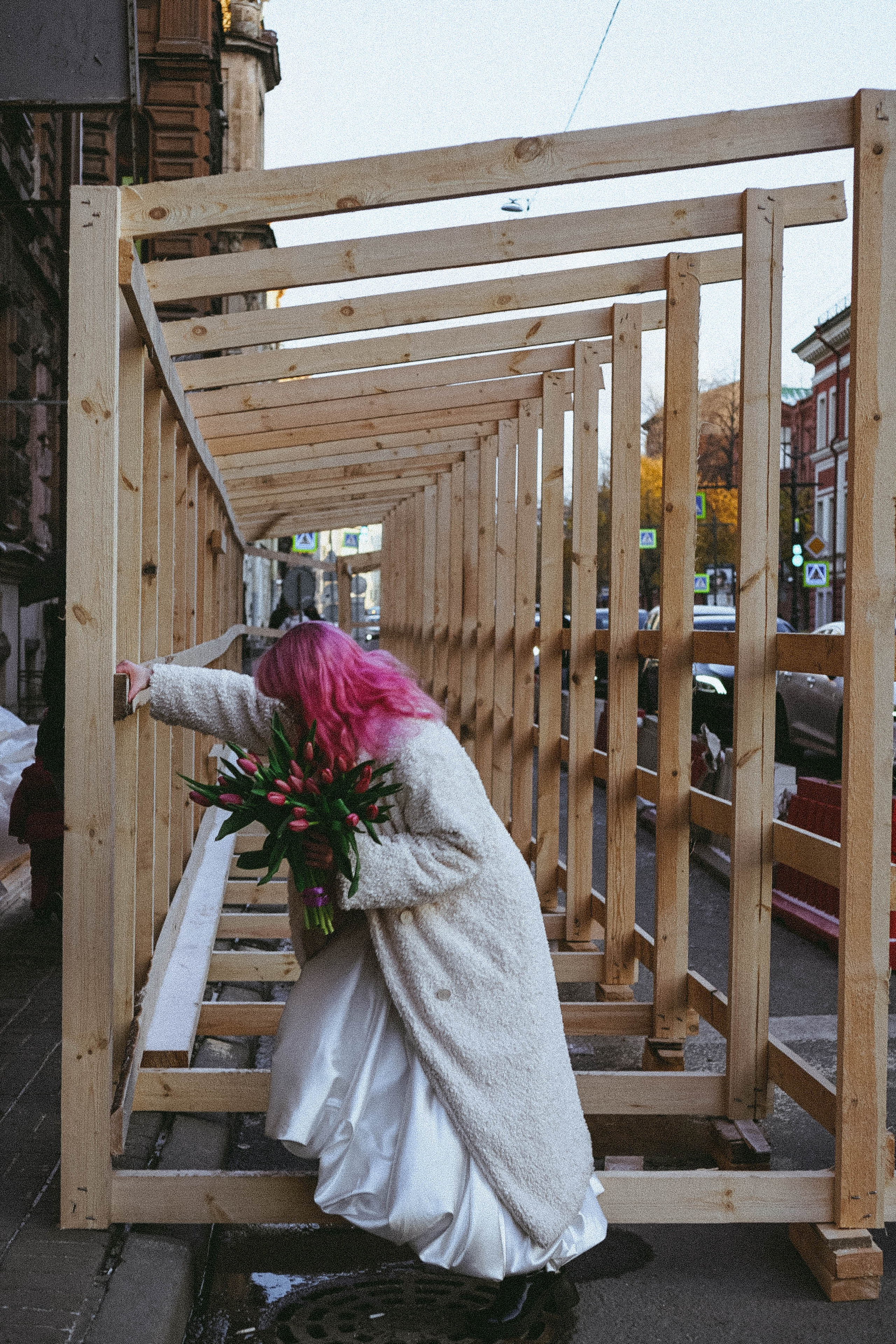 Тюльпаны. Профессиональный фотограф, Санкт-Петербург — Виктория Богомолова