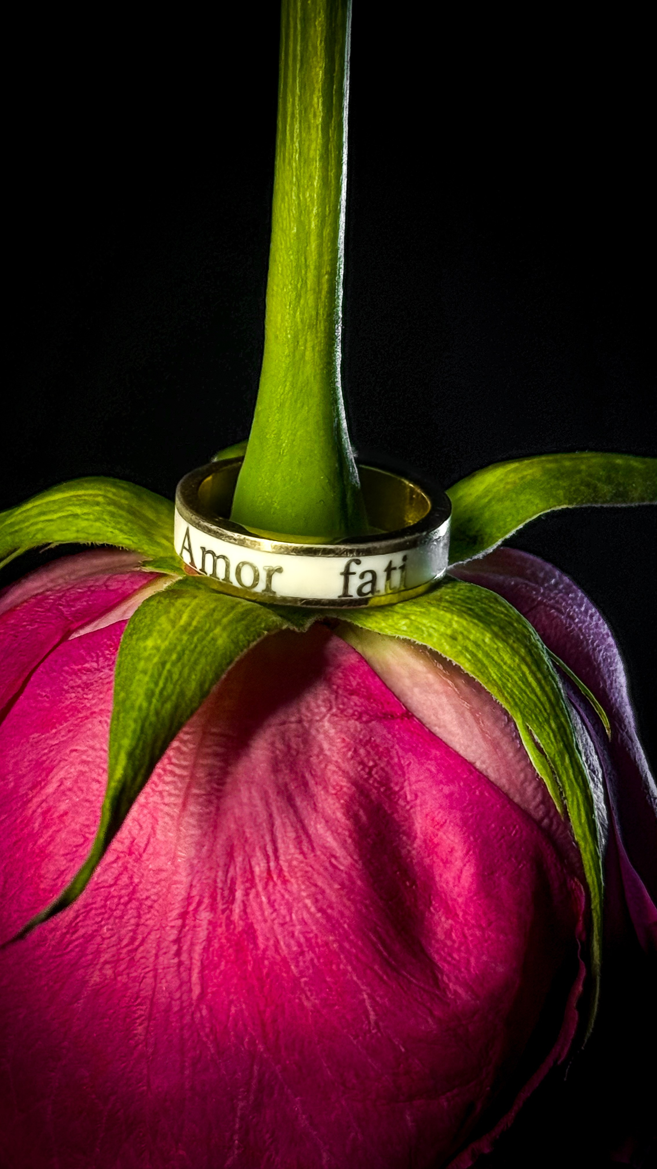 Предметная съемка. Content creator Saint-P