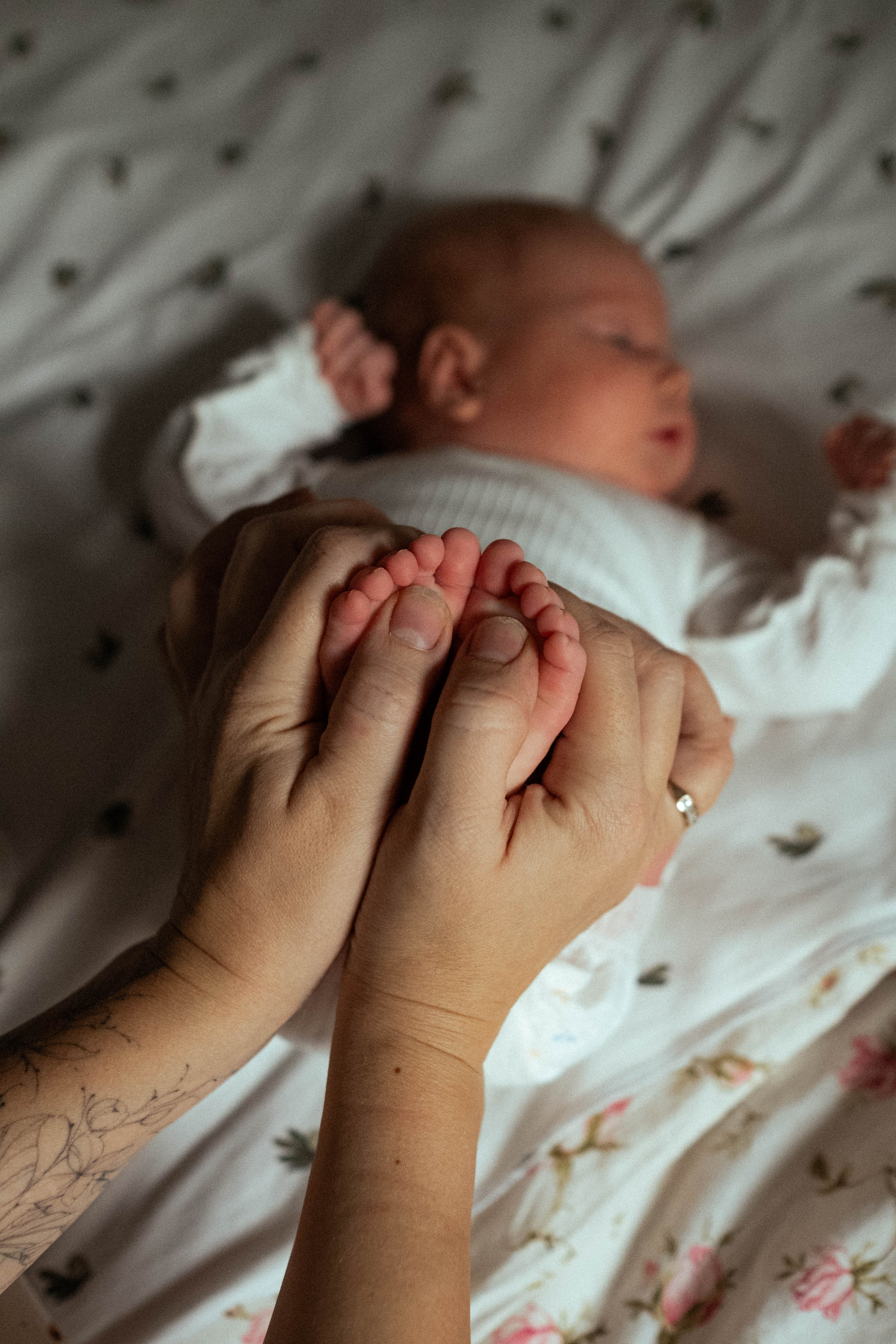 Новорожденный Максимка. Семейный фотограф в Санкт-Петербурге Дарья Косянчук