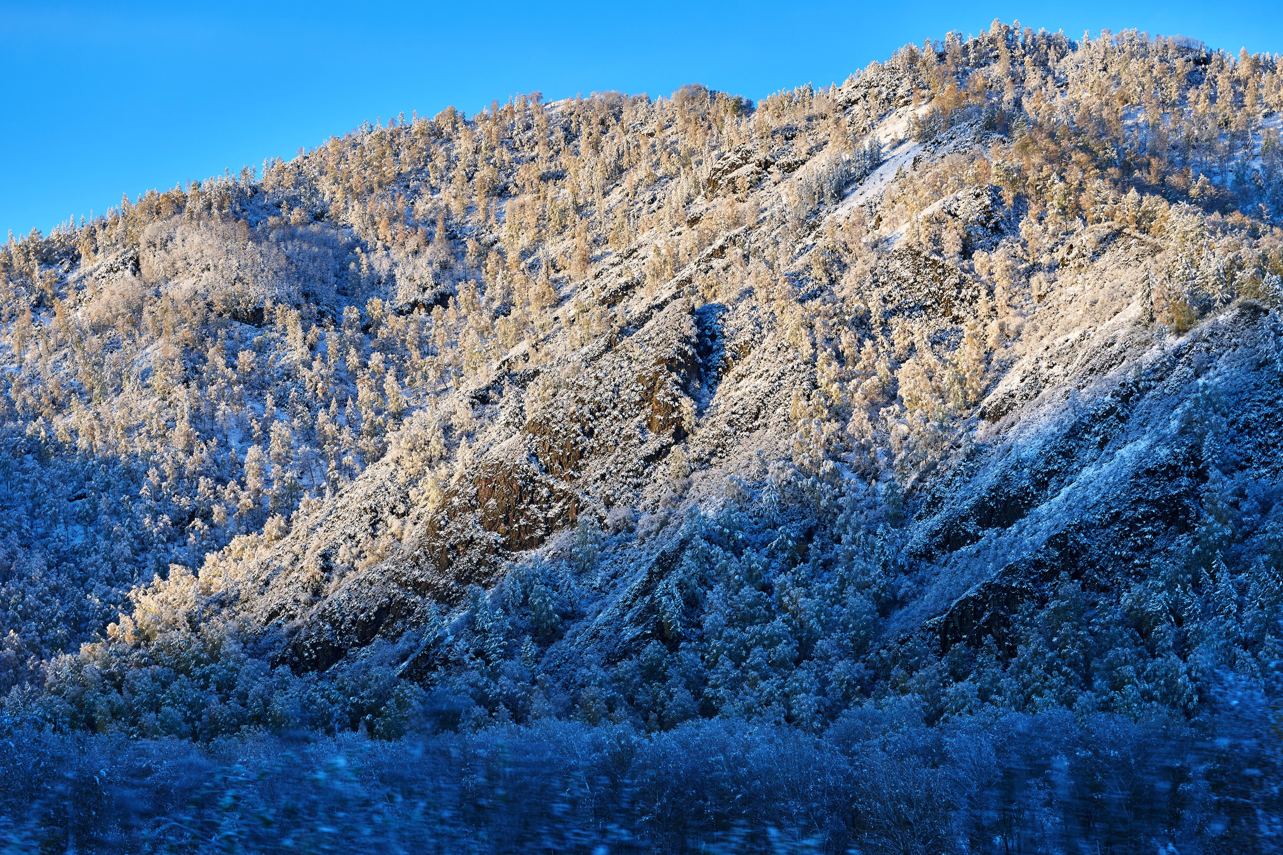 Пейзажный фотограф в Горном Алтае: съёмки природы и гор. Фотограф Опыт Качество Скорость Горный Алтай Барнаул