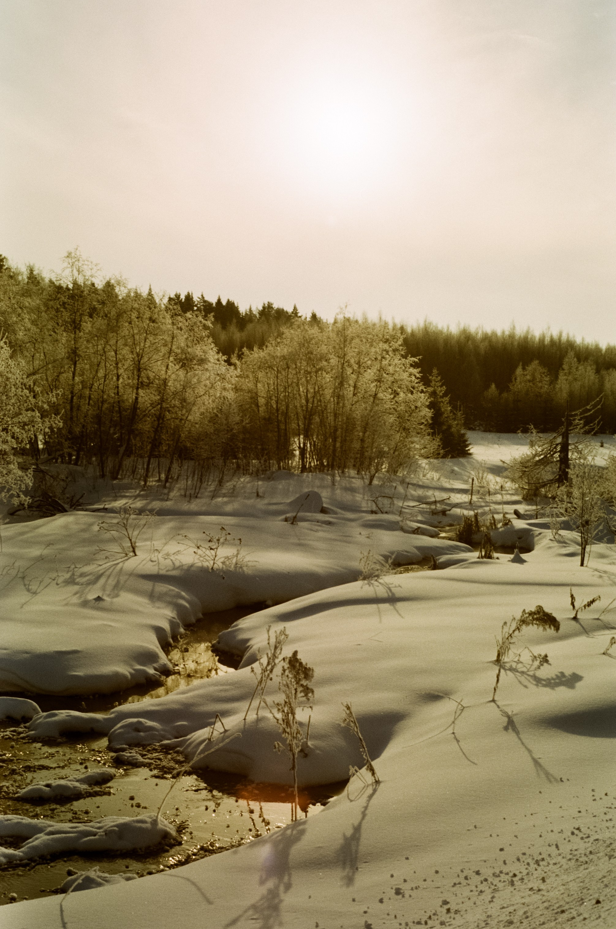 Pentax MZ-3 (1) объектив Schneider-Kreuznach Retina-Xenon 50 mm f/1.9 D