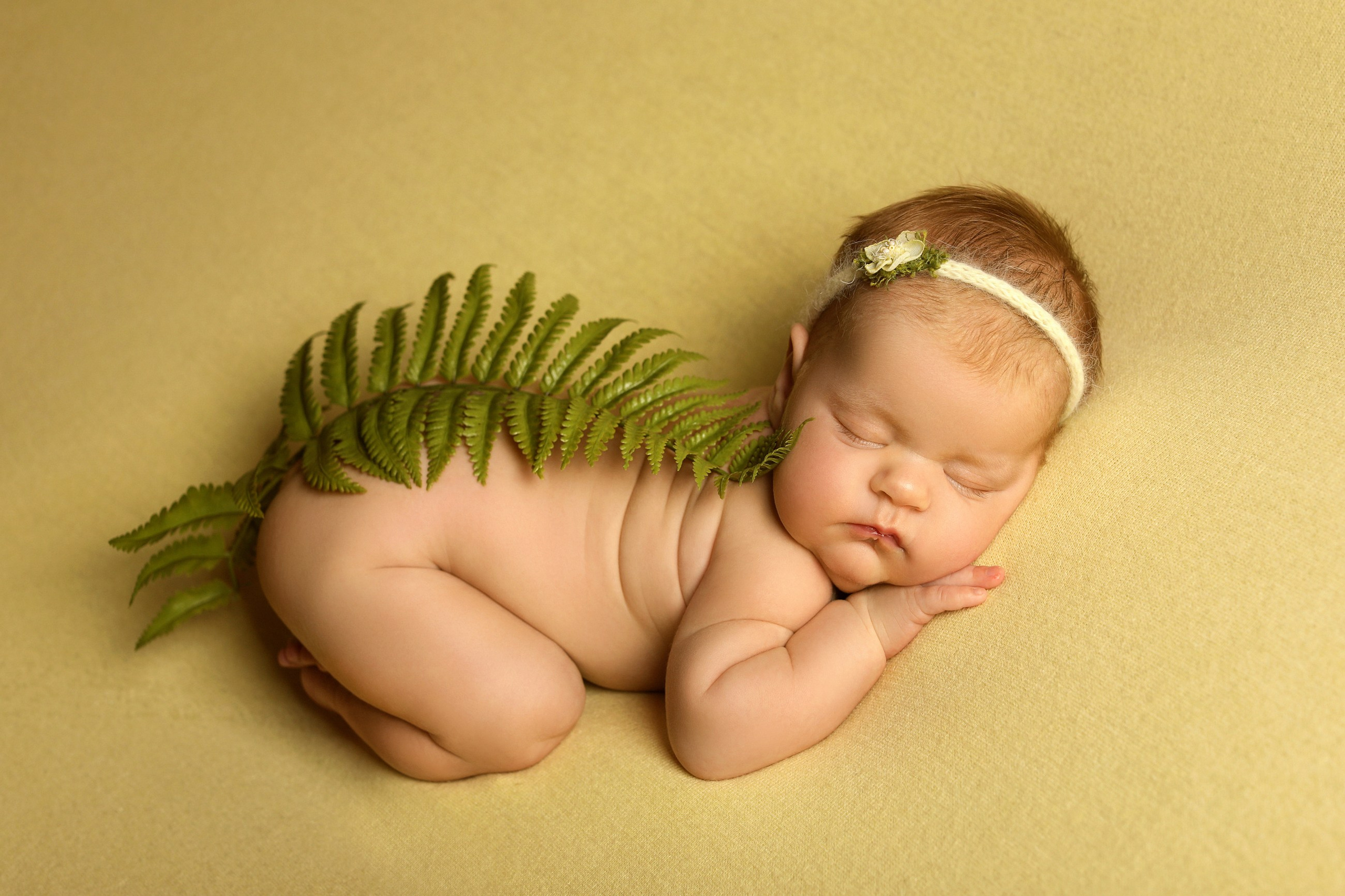 фотосессии новорожденных великий новгород