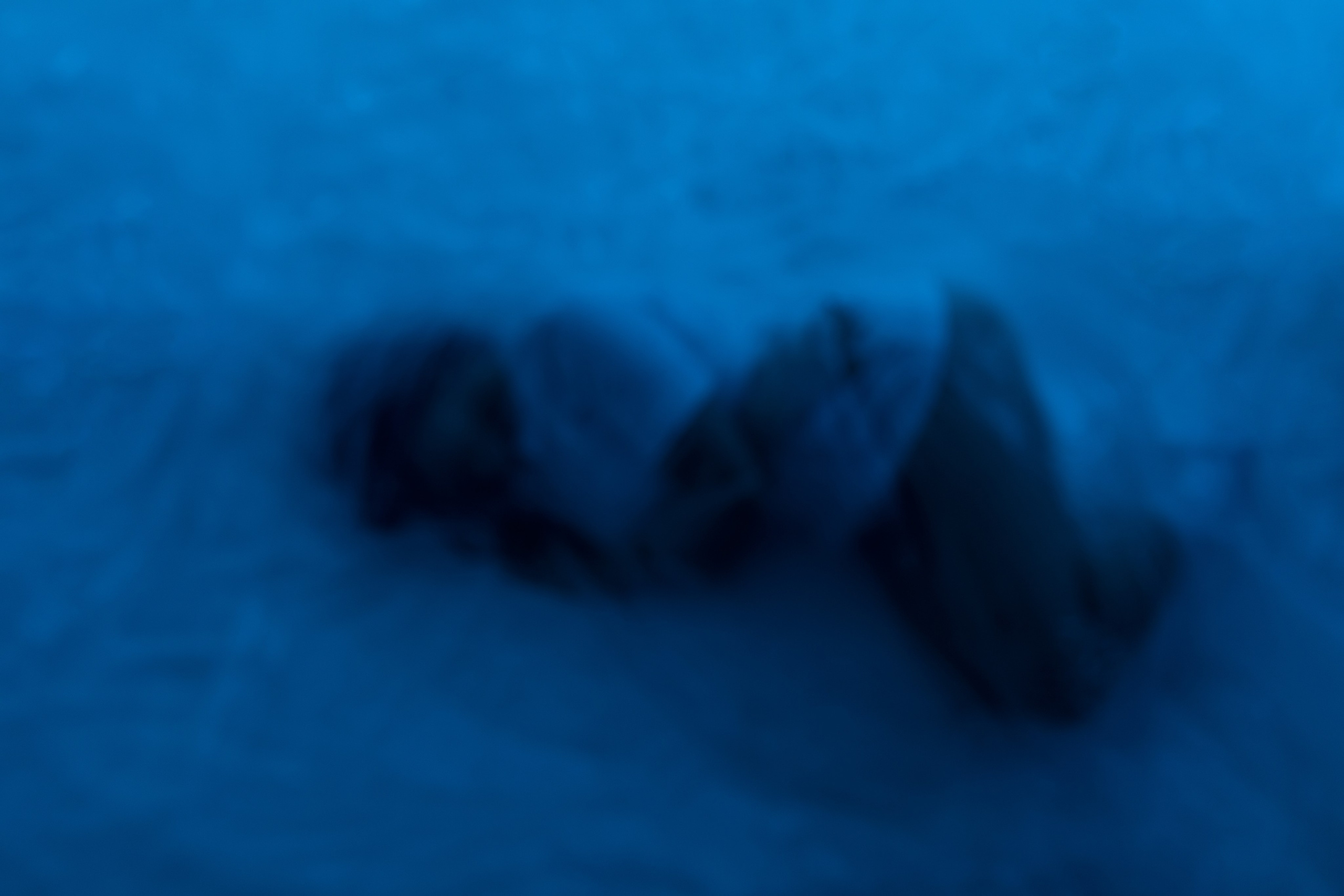 Кристина. Фотограф Мария Щеголькова. Чувственный женский портрет