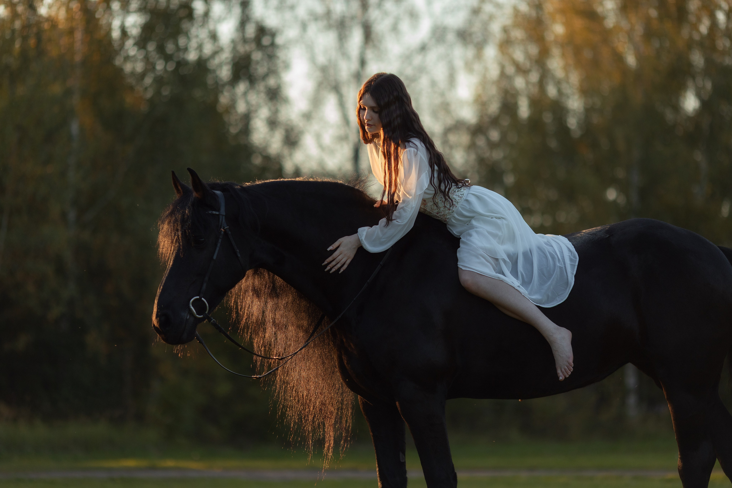 Фотосессия с лошадьми на закате. Фотосессии с лошадьми в Москве от Конный фотографа Кутейниковой Светланы
