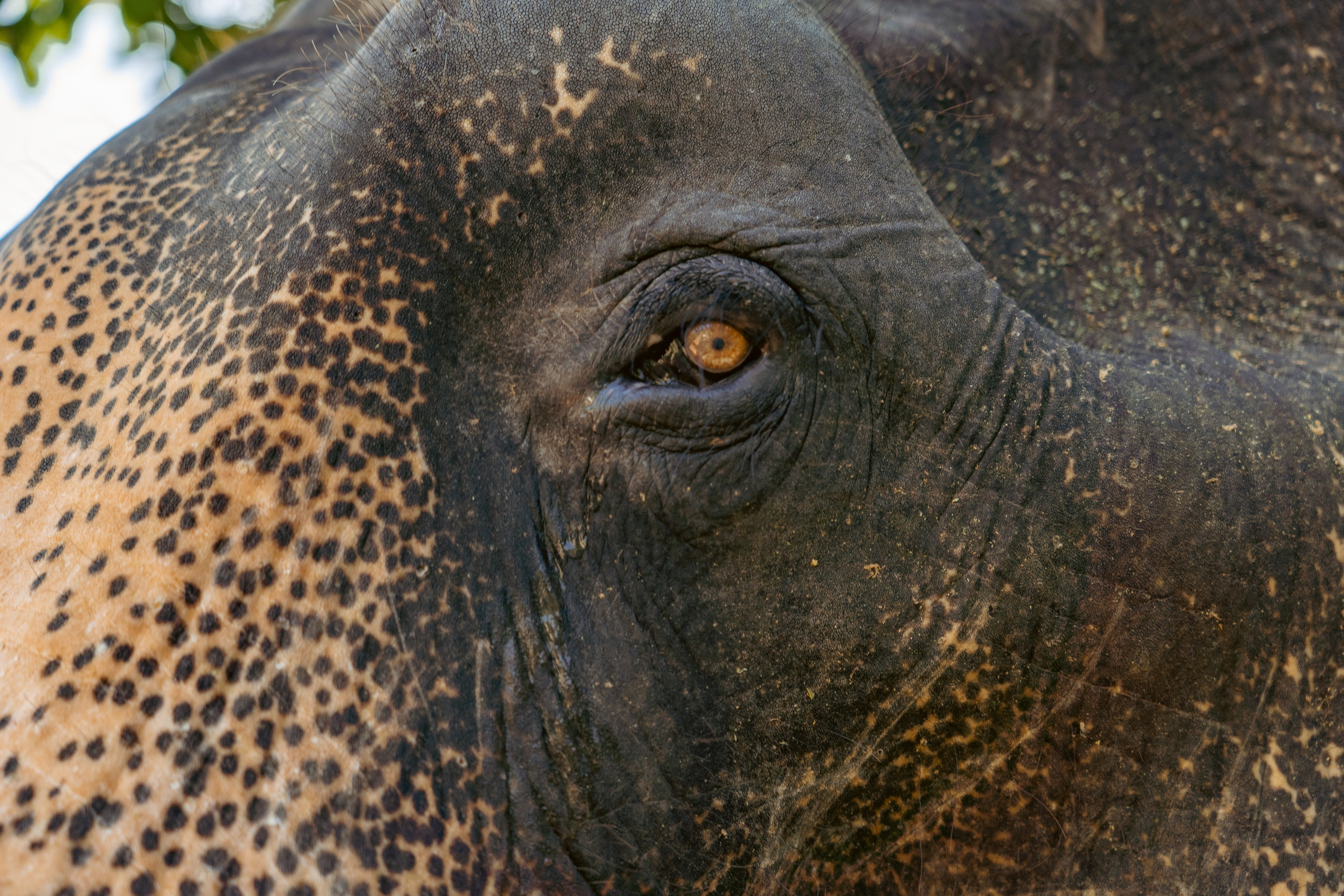 Promo content shooting for Ceylon Forward Tours