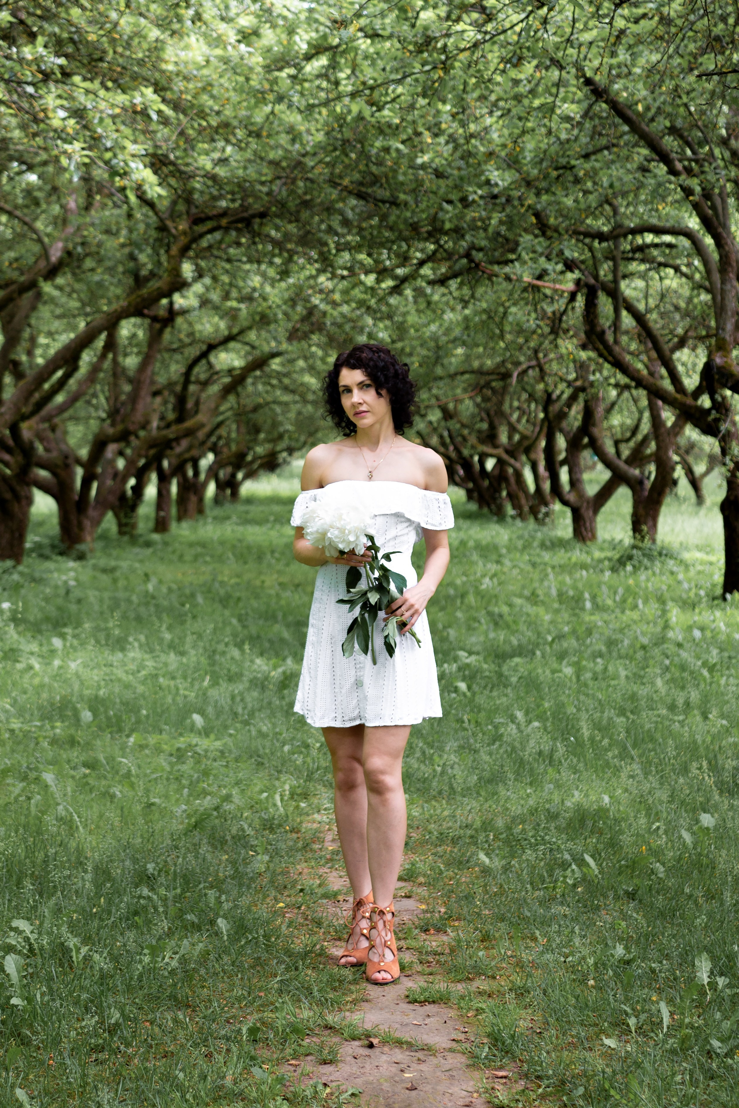 Зелёная симфония